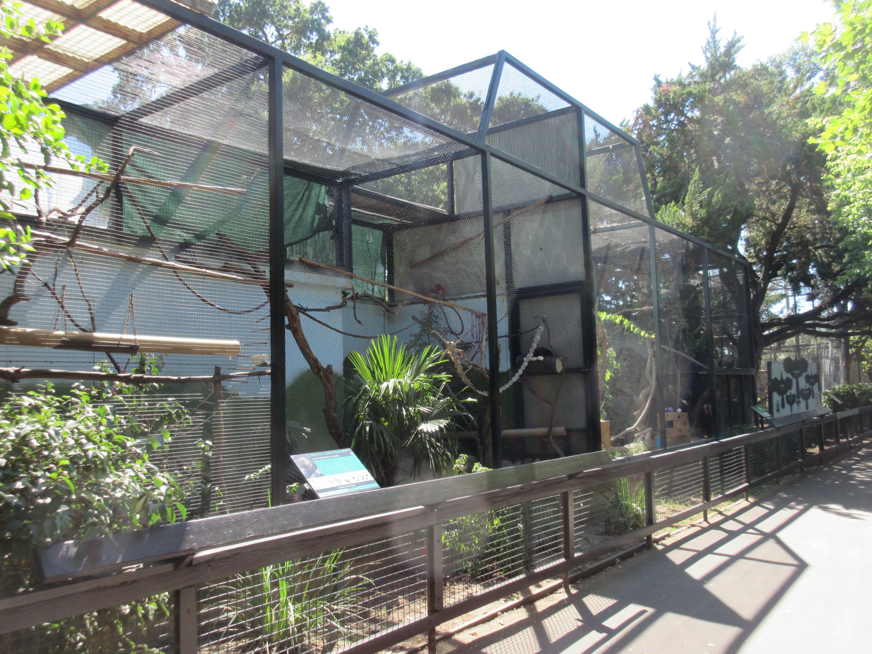 Small Animal Exhibits (Golden Lion Tamarin Exhibit is first in the line)