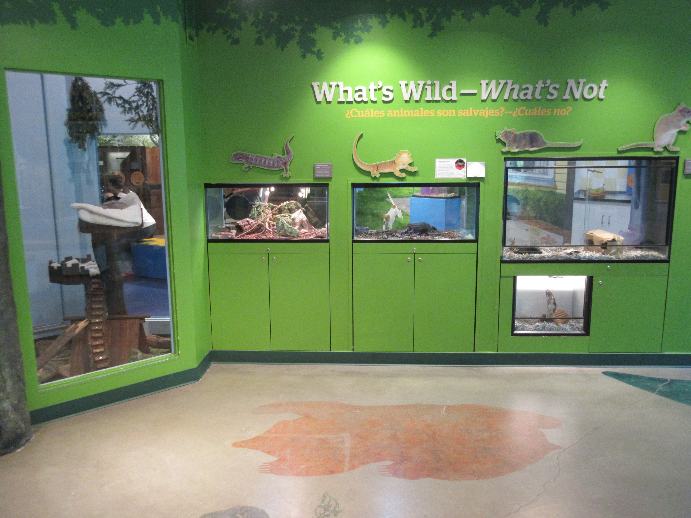 Small Animal Exhibits