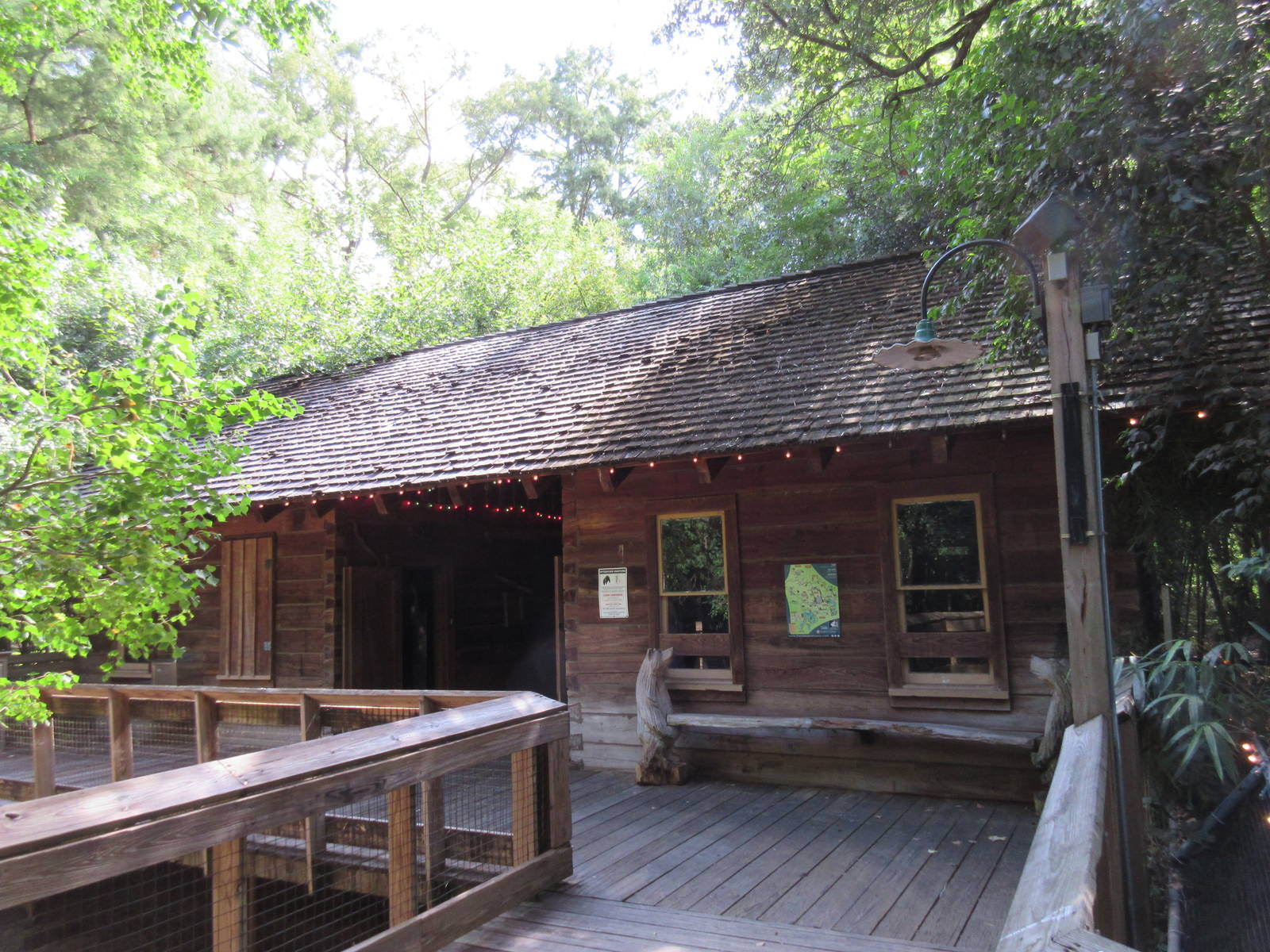 Small Animal House (a few native reptiles, amphibians and fish)