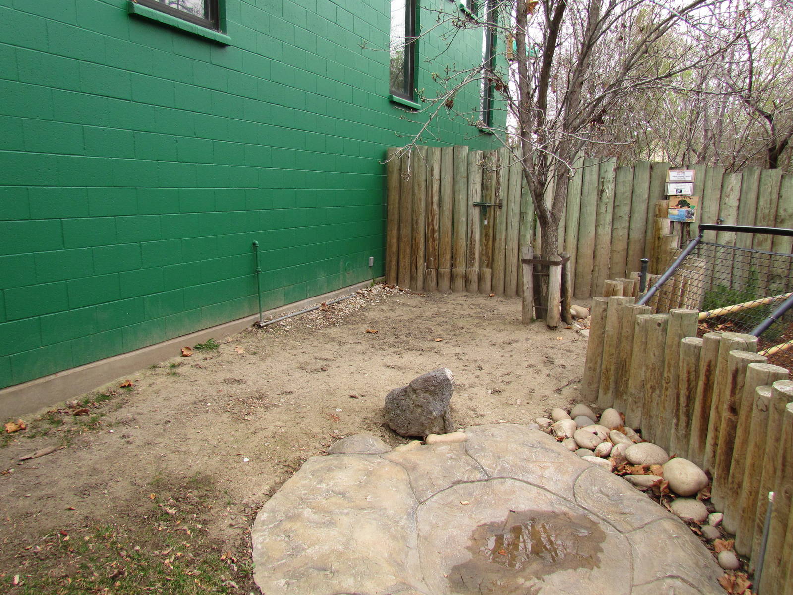Small Animal Kingdom - Aldabra Tortoise Exhibit