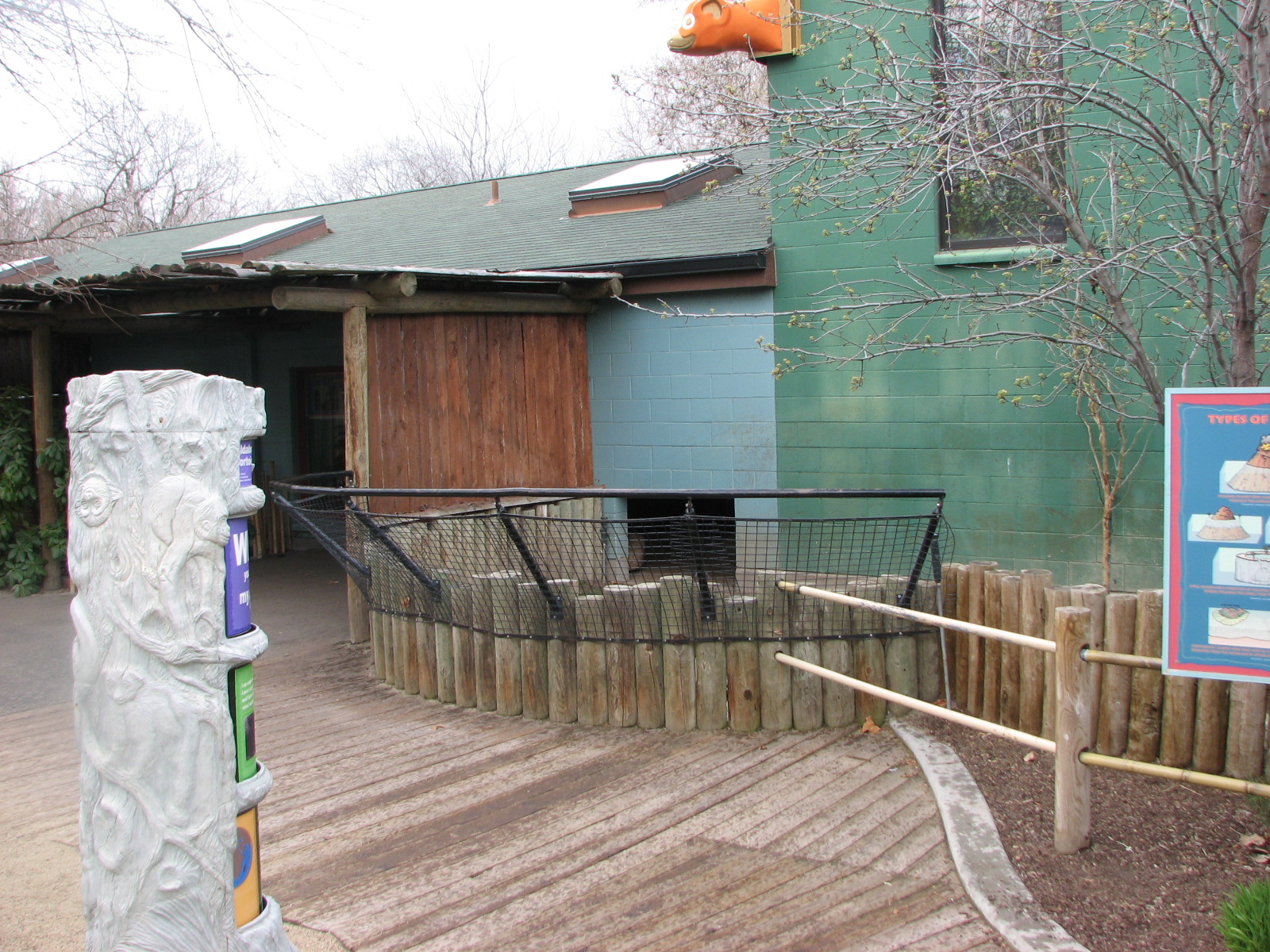 Small Animal Kingdom - Aldabra Tortoise Outdoor Exhibit