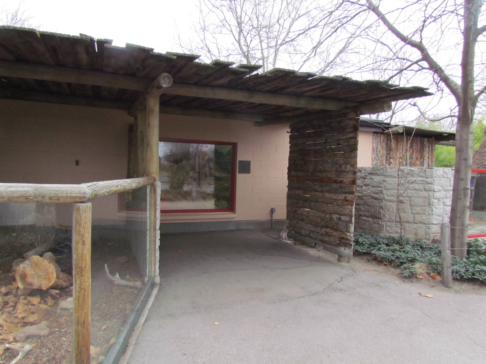Small Animal Kingdom -Desert Tortoise Exhibit Viewing
