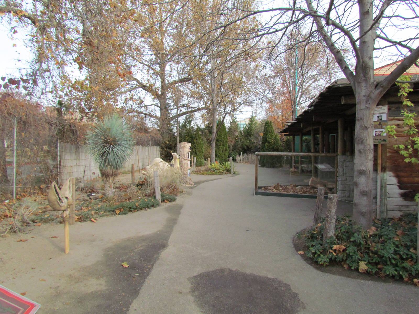 Small Animal Kingdom - Deserts