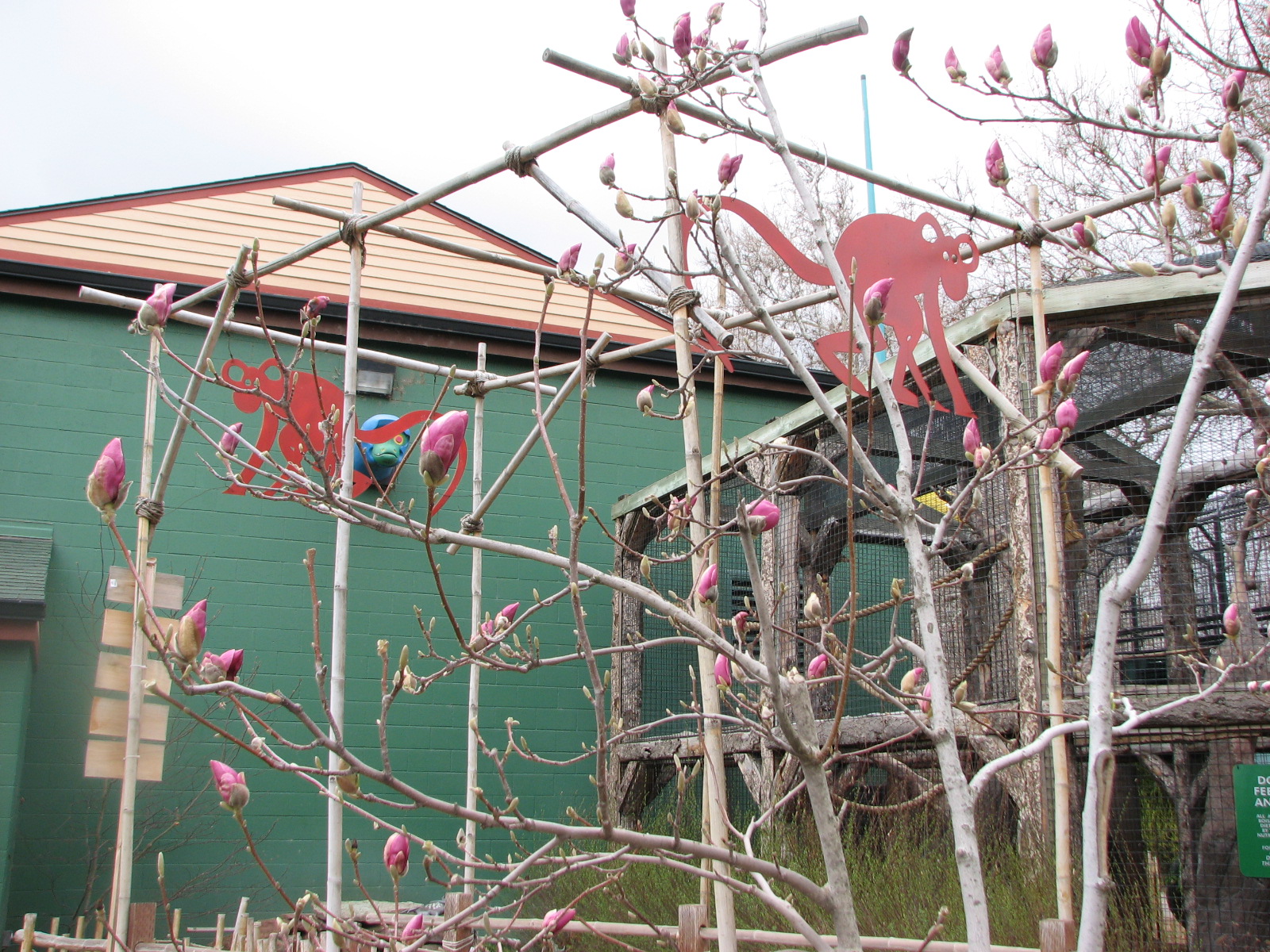 Small Animal Kingdom - Exit