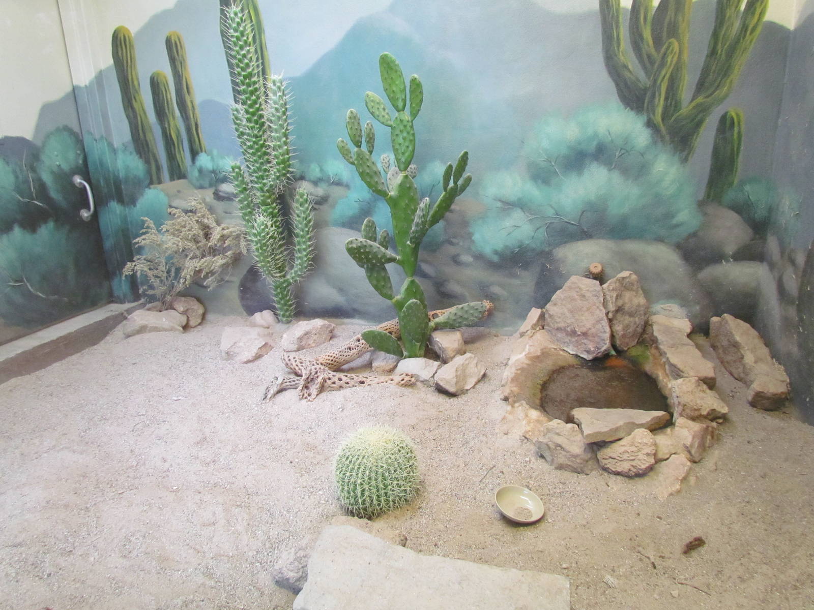 Small Animal Kingdom - Gila Monster Exhibit