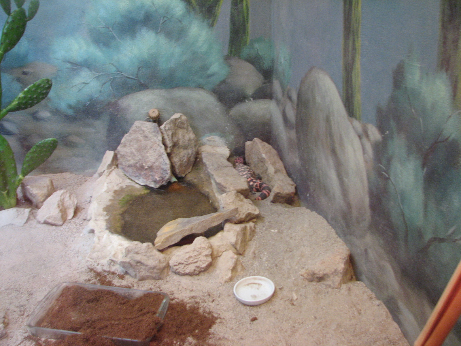 Small Animal Kingdom - Gila Monster Exhibit