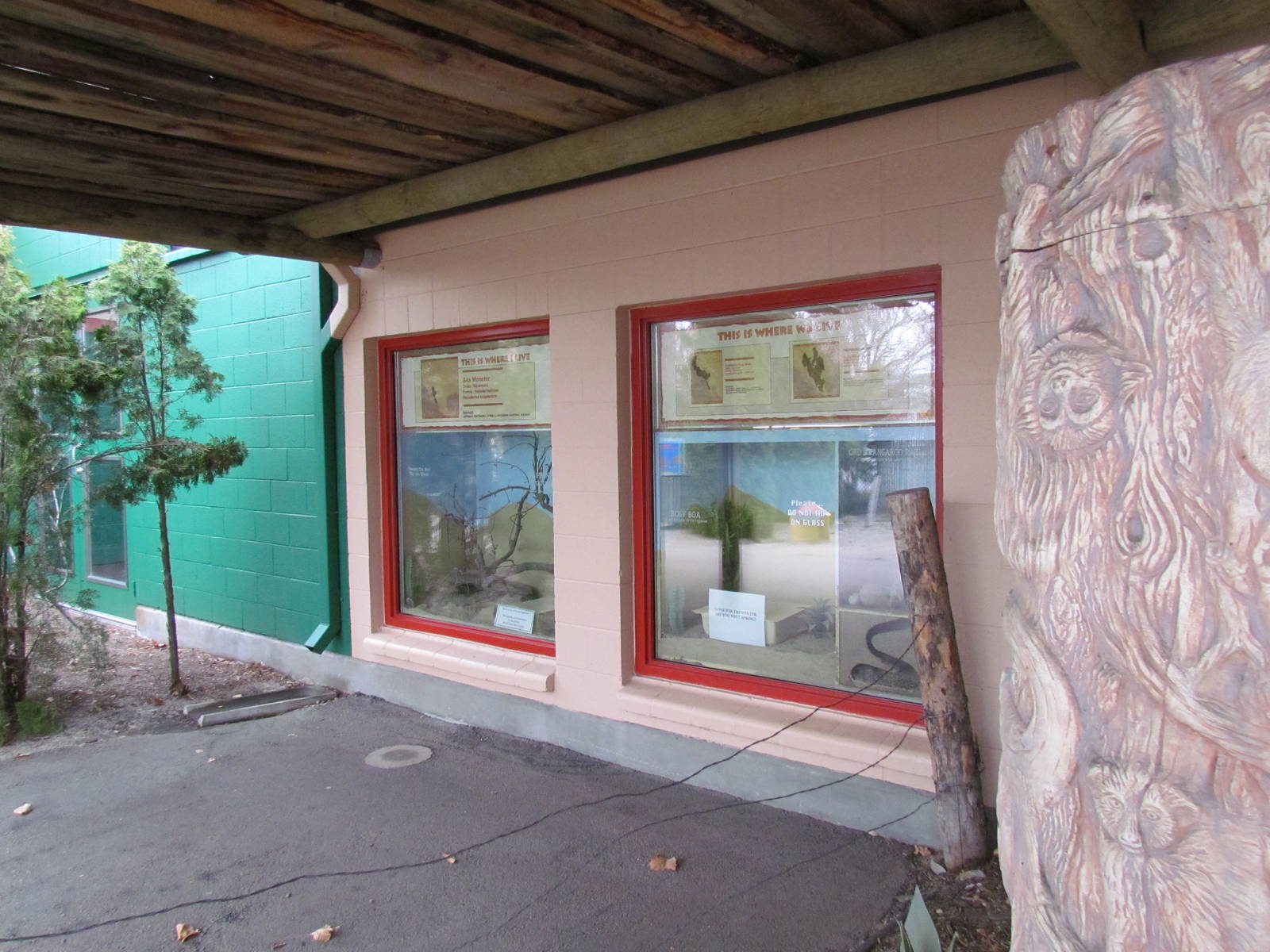 Small Animal Kingdom - Indoor Exhibit Viewing