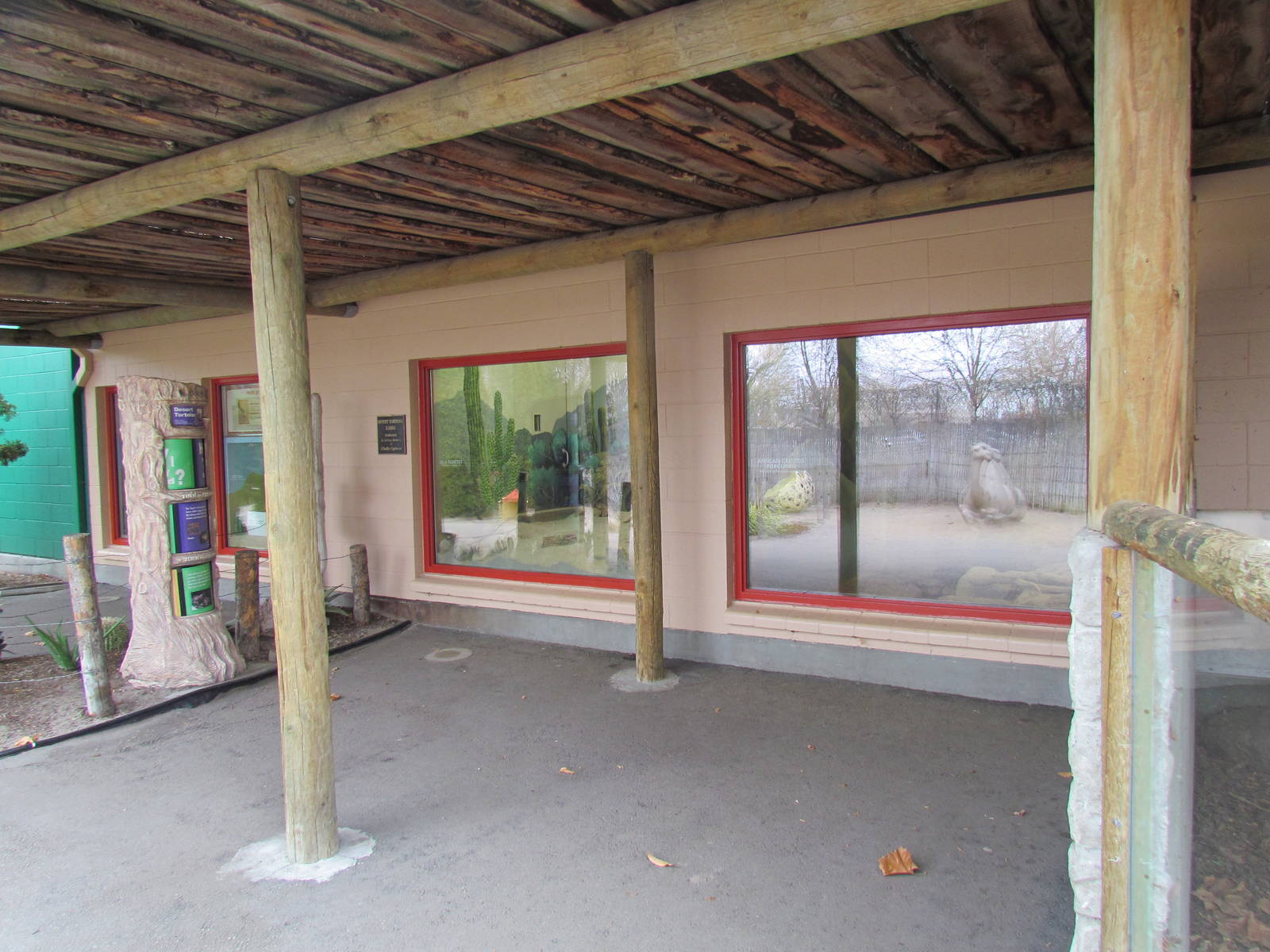 Small Animal Kingdom - Indoor Exhibits