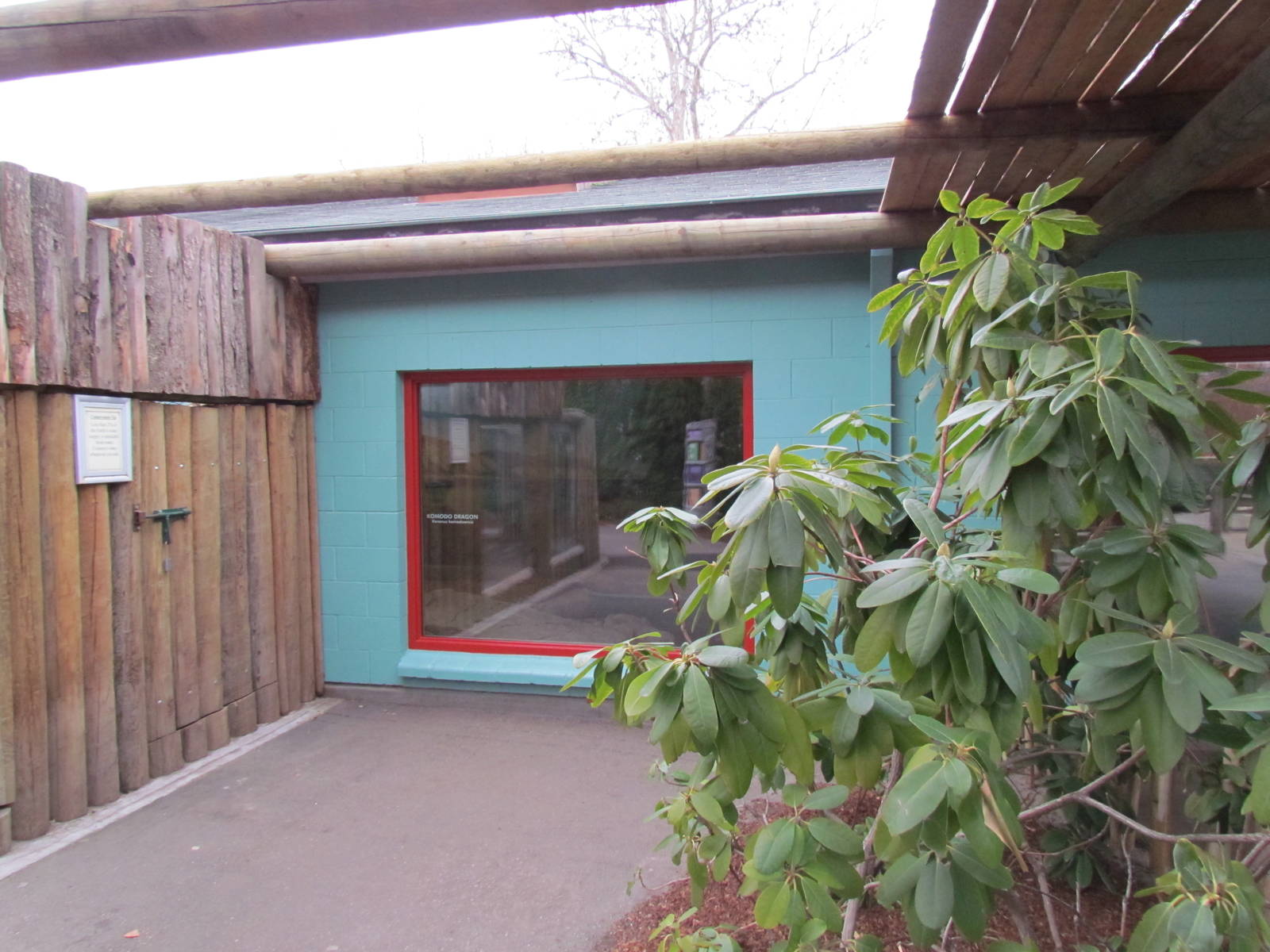 Small Animal Kingdom - Indoor Komodo Dragon Viewing
