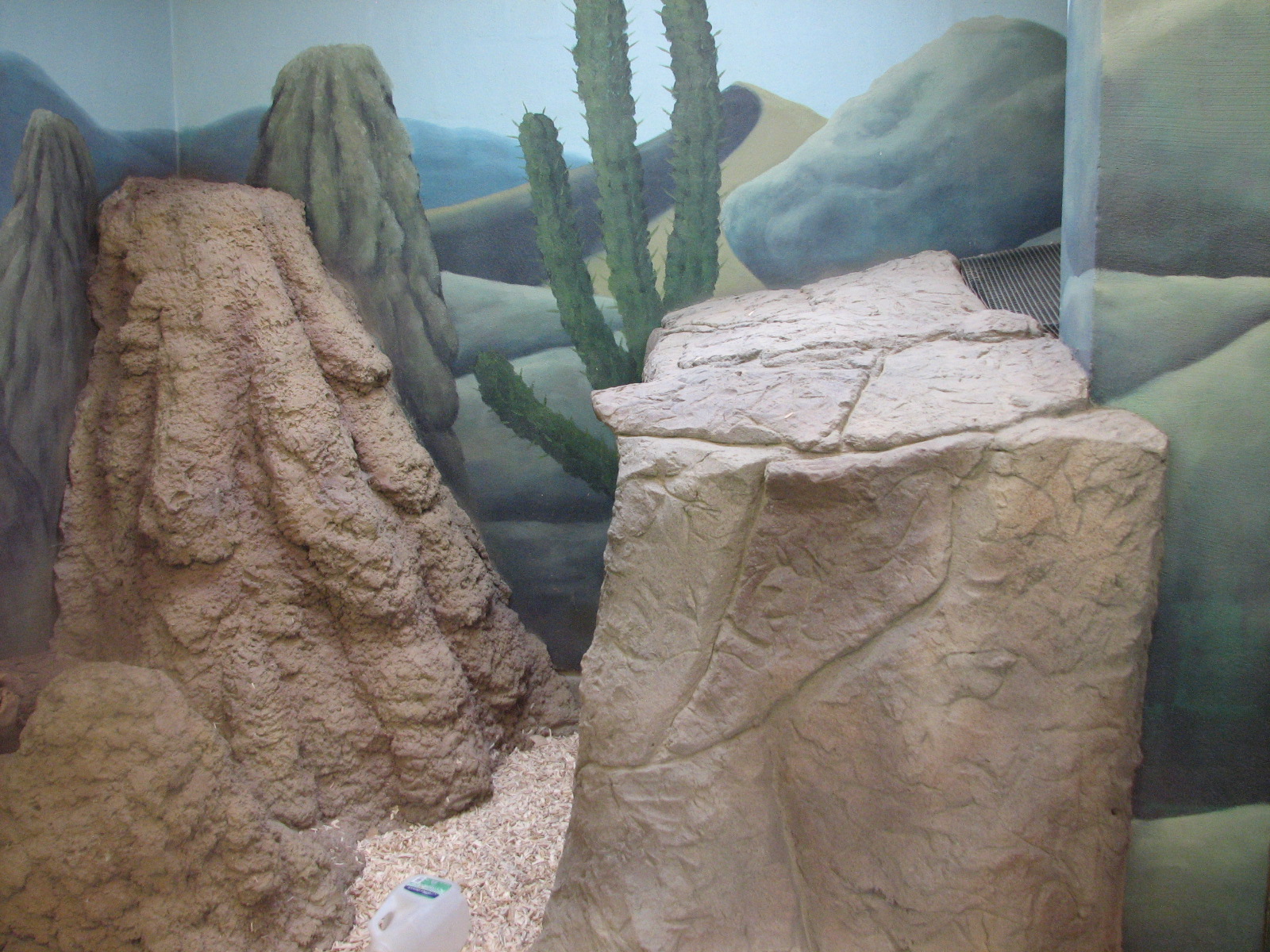 Small Animal Kingdom - Indoor Meerkat Exhibit