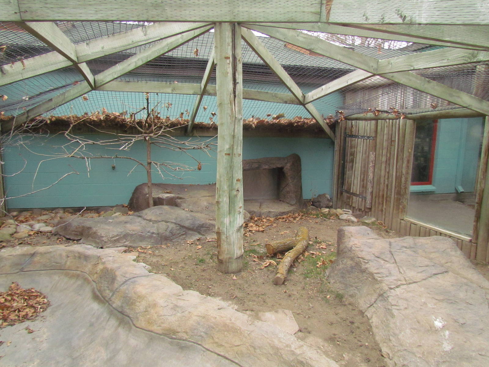 Small Animal Kingdom - Komodo Dragon Outdoor Exhibit