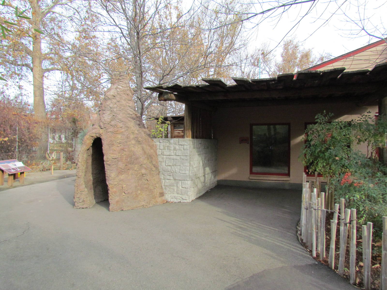 Small Animal Kingdom - Meerkat Exhibit