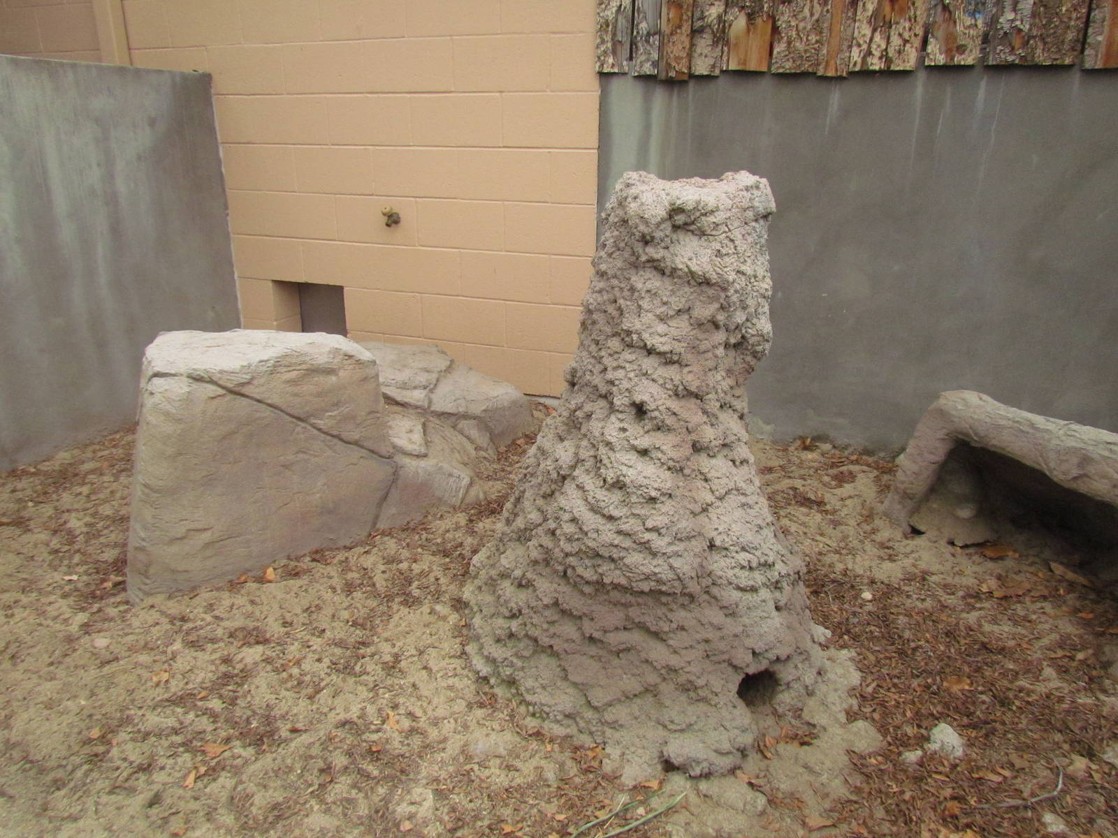 Small Animal Kingdom - Outdoor Meerkat Exhibit