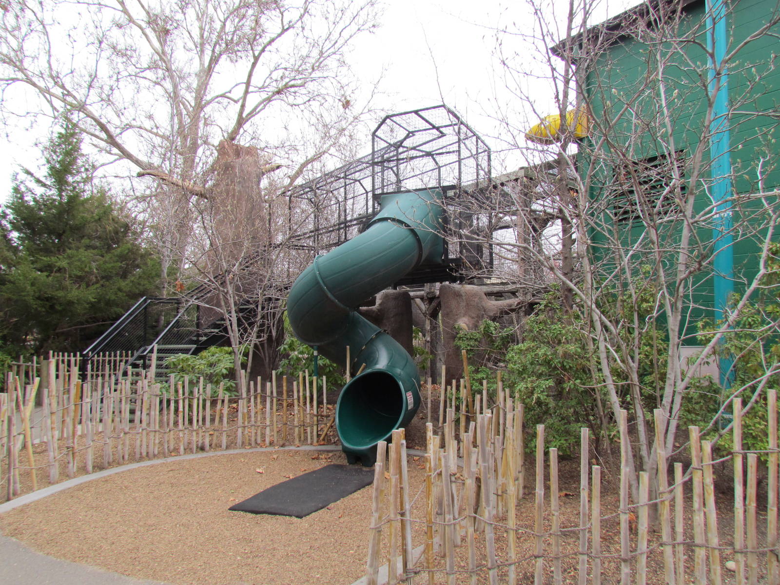 Small Animal Kingdom - Rainforest Play Area