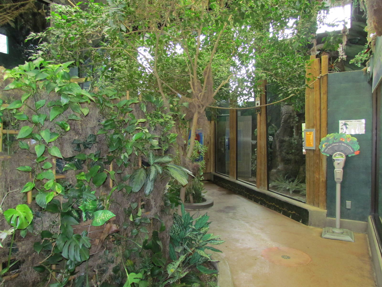 Small Animal Kingdom - Rainforest.