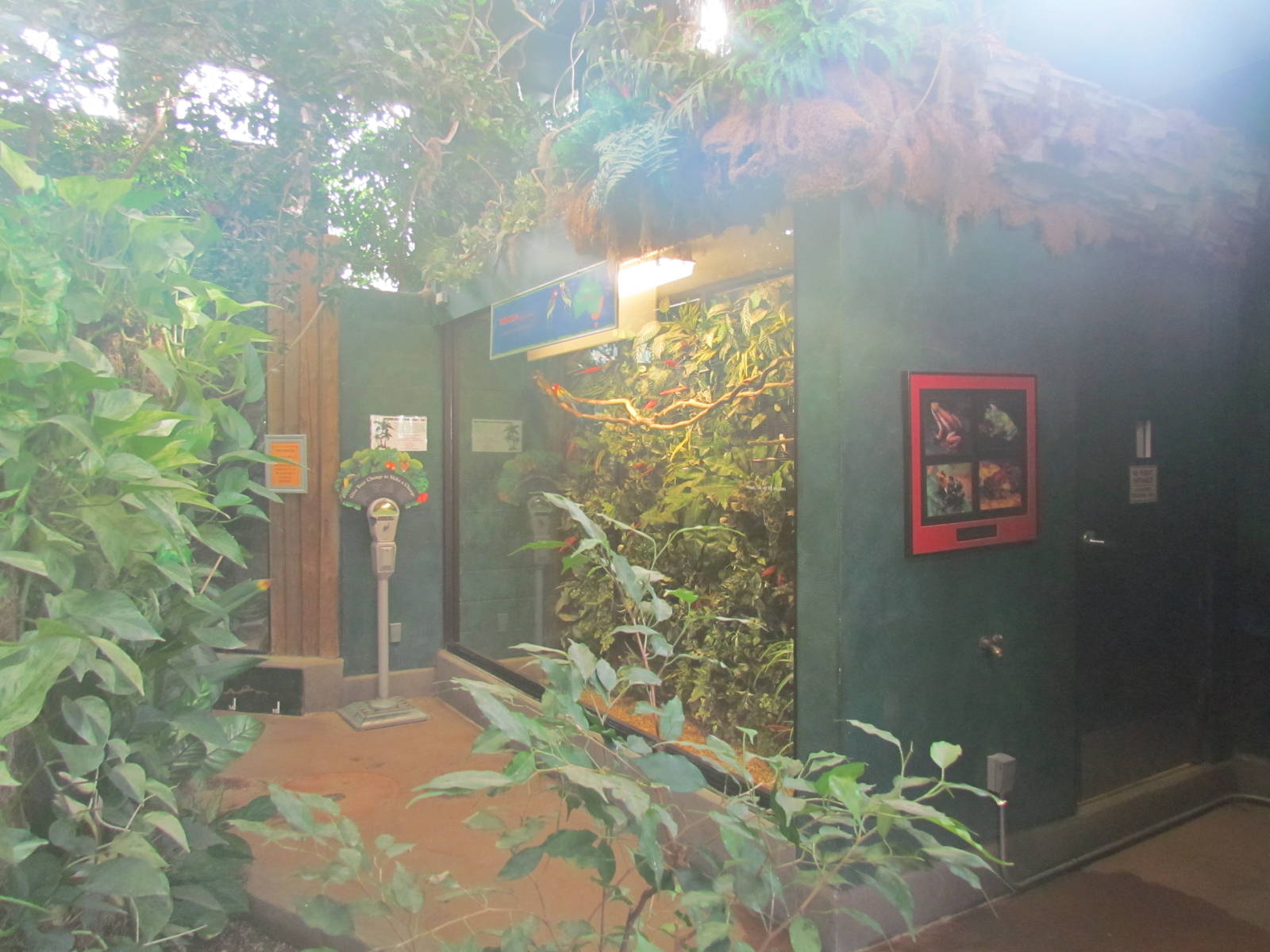 Small Animal Kingdom - Rainforests