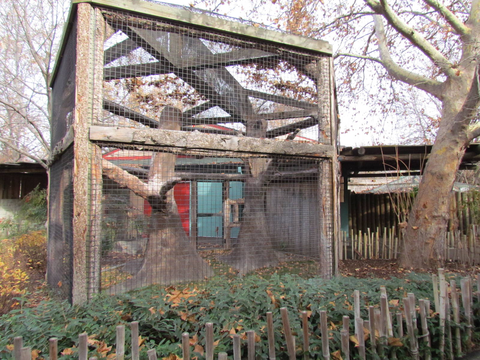 Small Animal Kingdom - Ring-tailed Lemur Exhibit