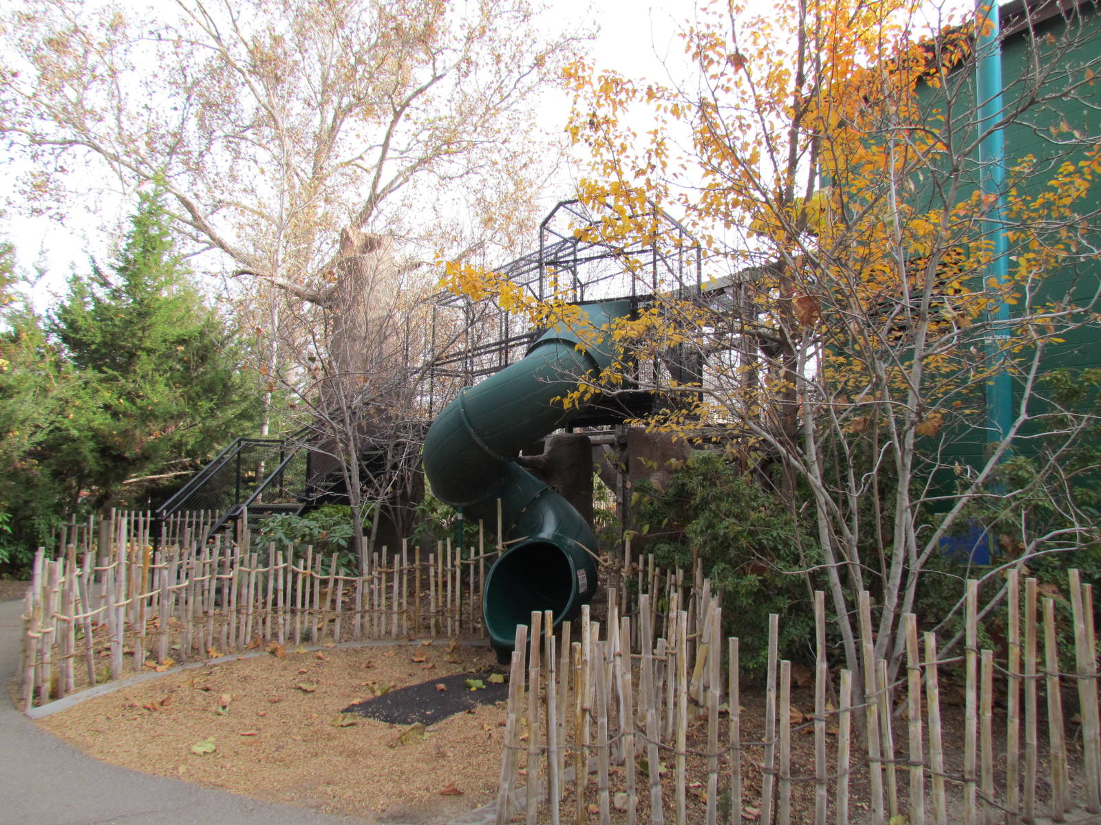 Small Animal Kingdom - Slide