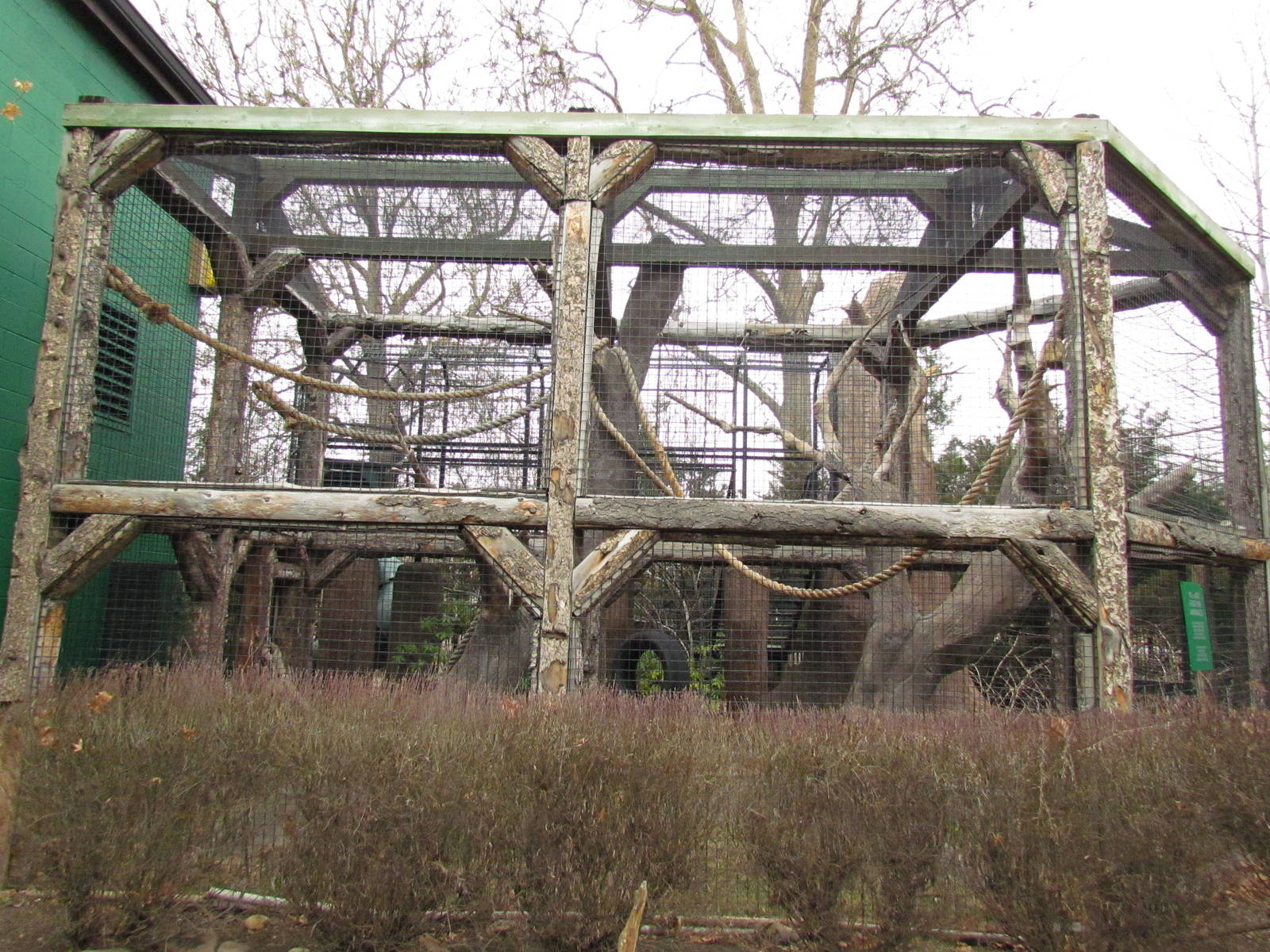 Small Animal Kingdom - Spider Monkey Outdoor Exhibit