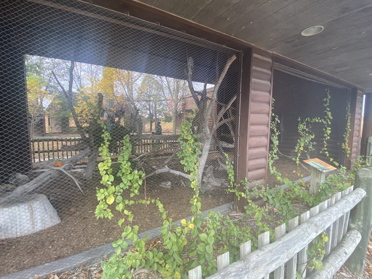 Small Animal Rotunda - Barred Owl Exhibit