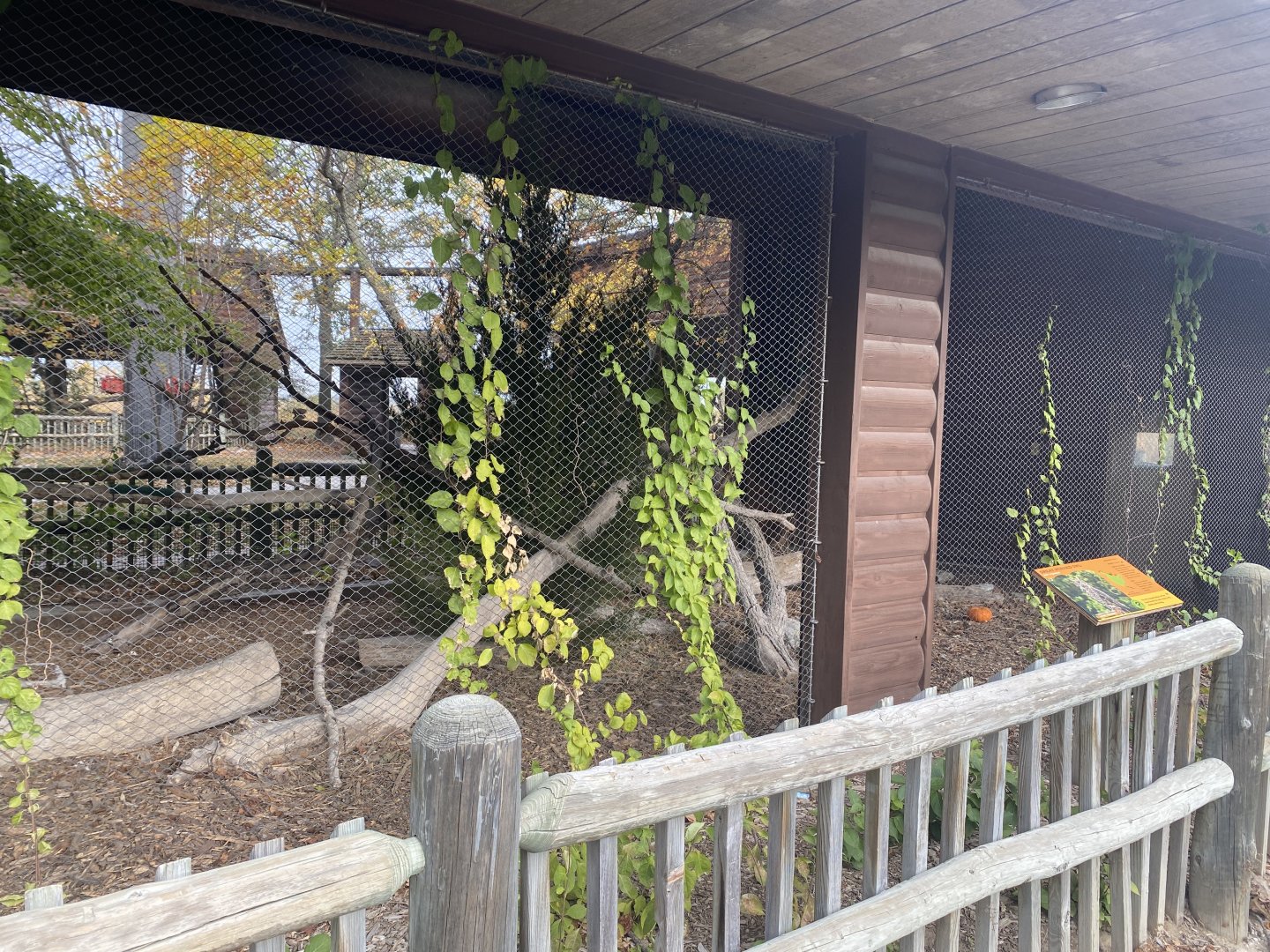 Small Animal Rotunda - Great-Horned Owl Exhibit