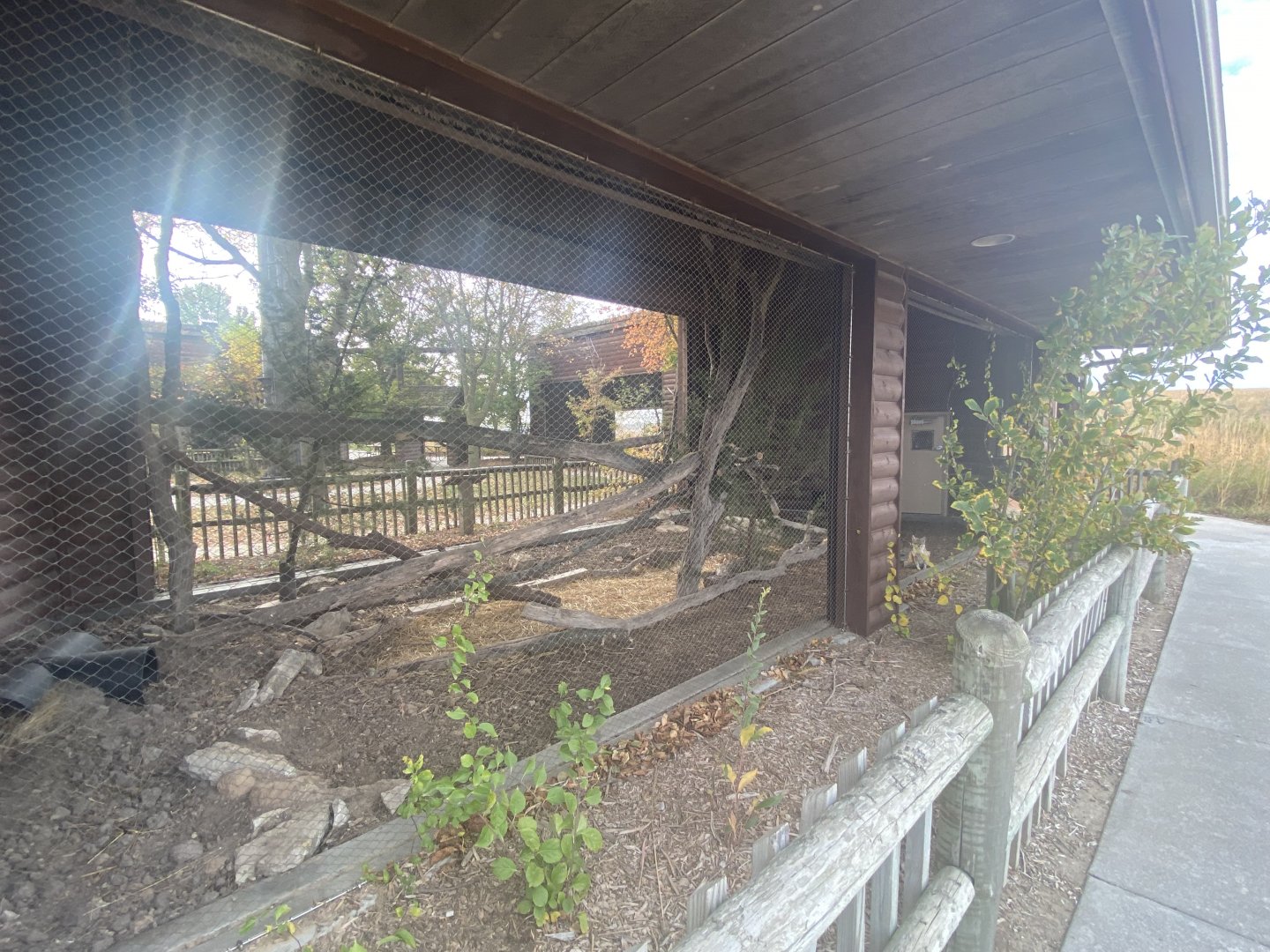 Small Animal Rotunda - Swift Fox Exhibit