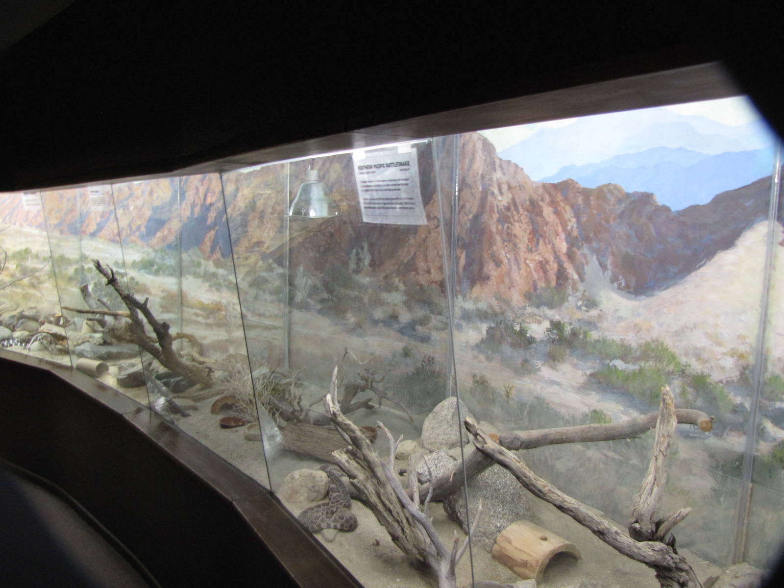 Small Animals Exhibit