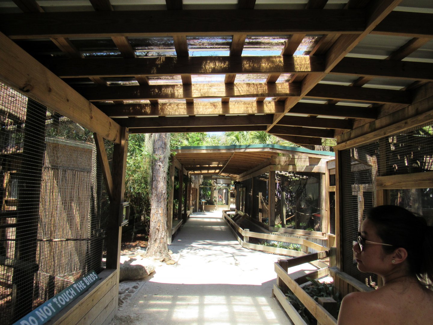 Small Animals - Wild Florida