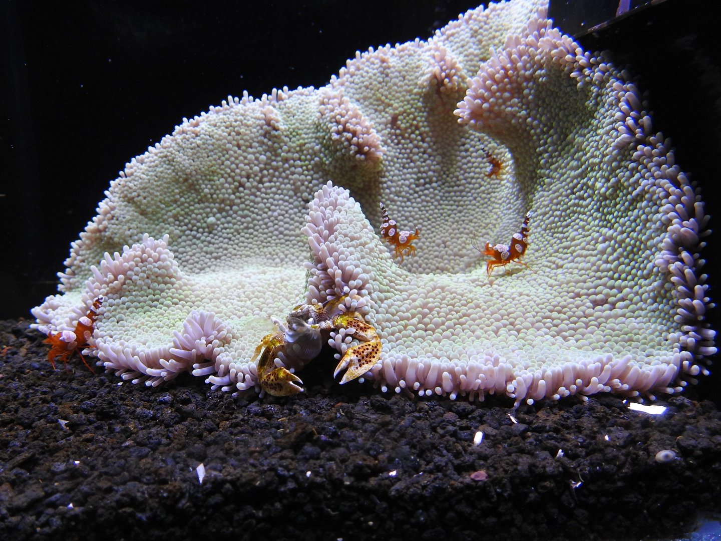 Small aquarium example