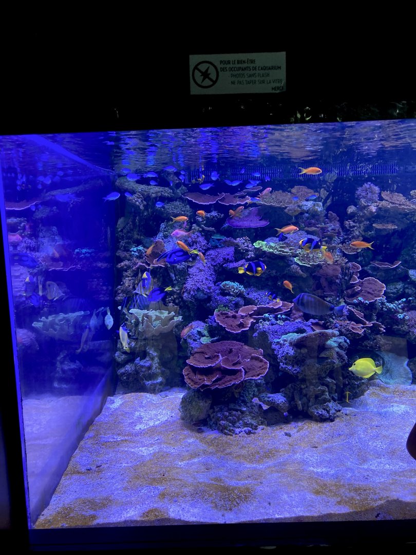 Small aquarium for Madagascan fish