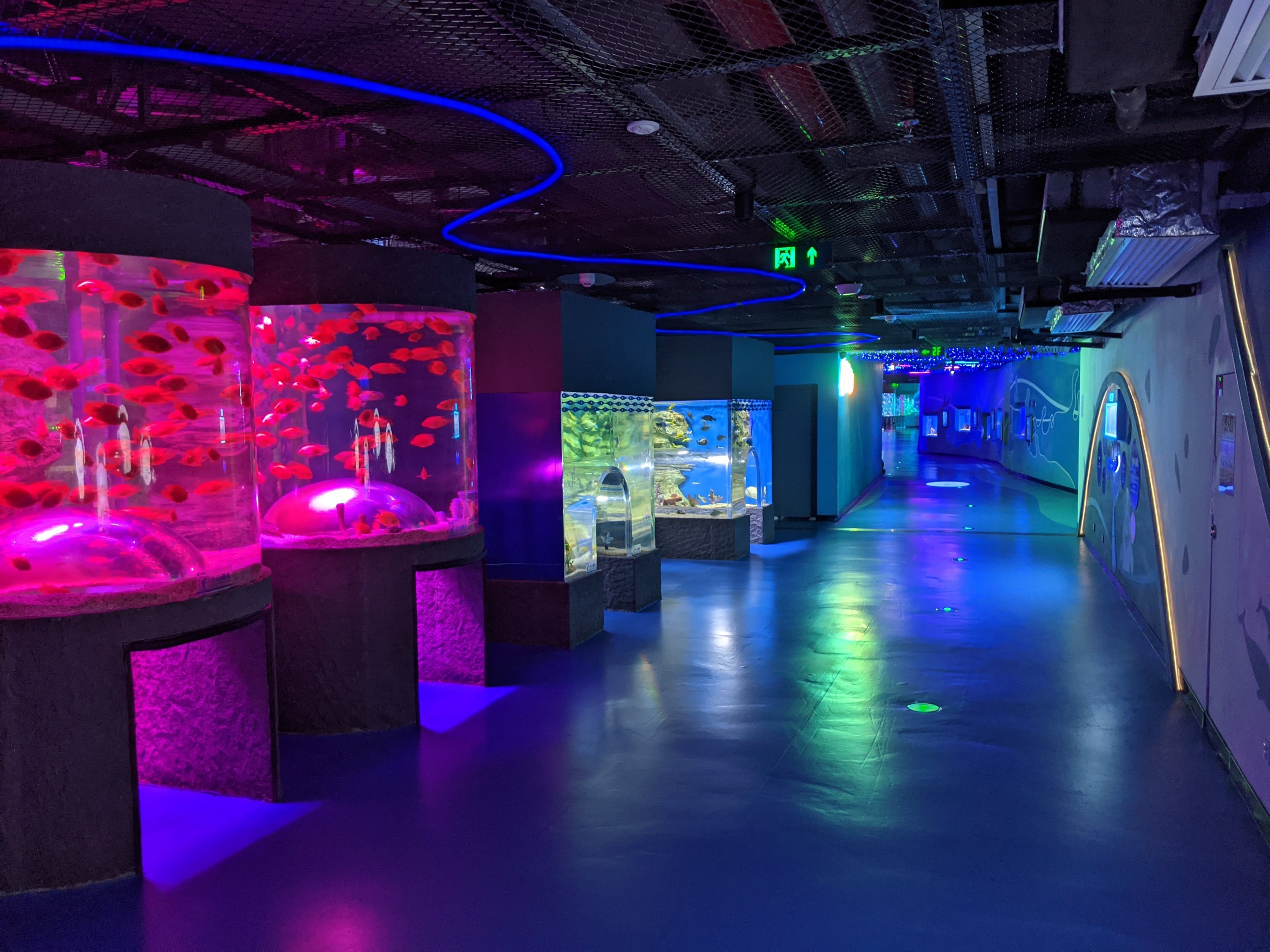 Small aquarium hall - Ocean World (Guangzhou)