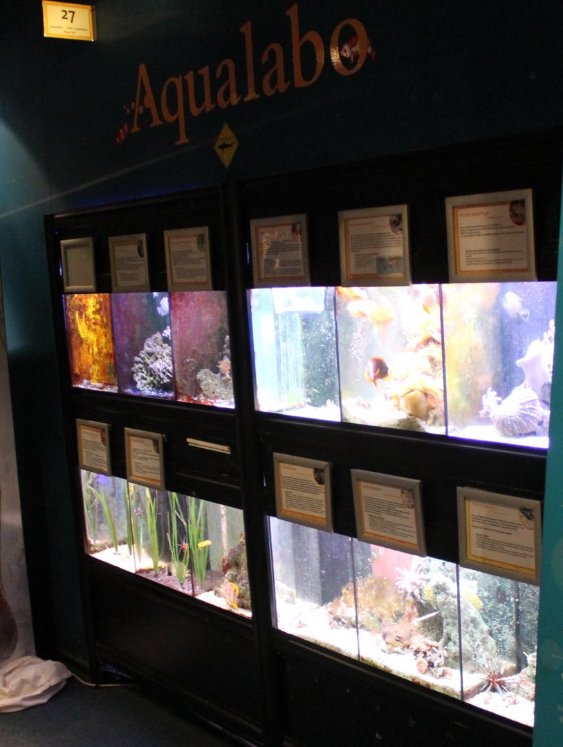 Small Aquariums