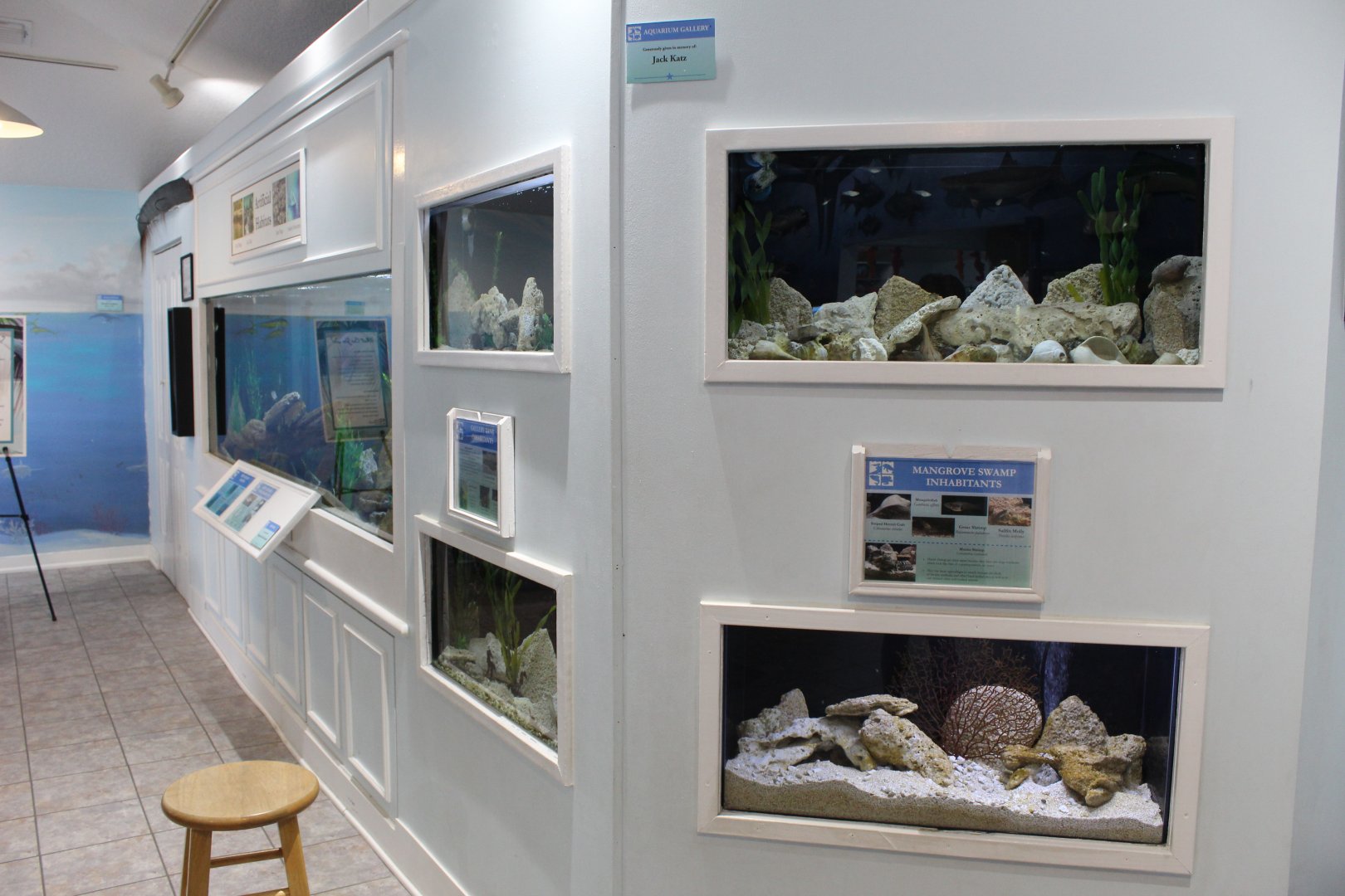 Small Aquariums