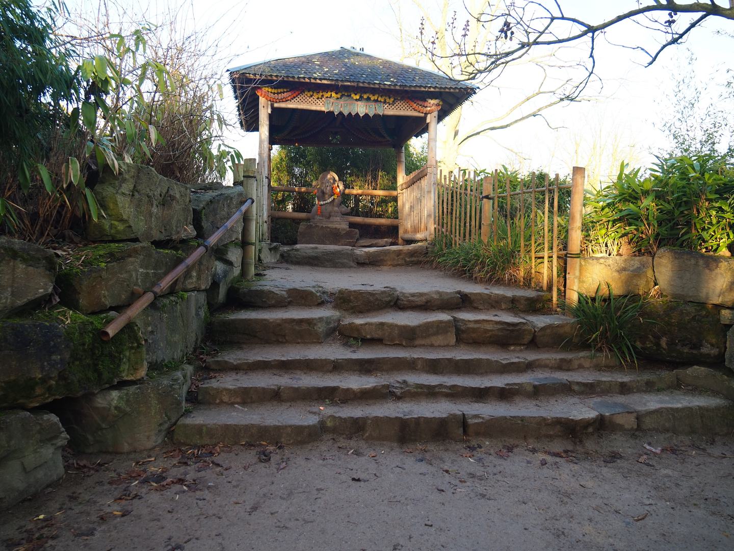 Small Asian elephant viewing area with Ganesha statue, 2022-01-30