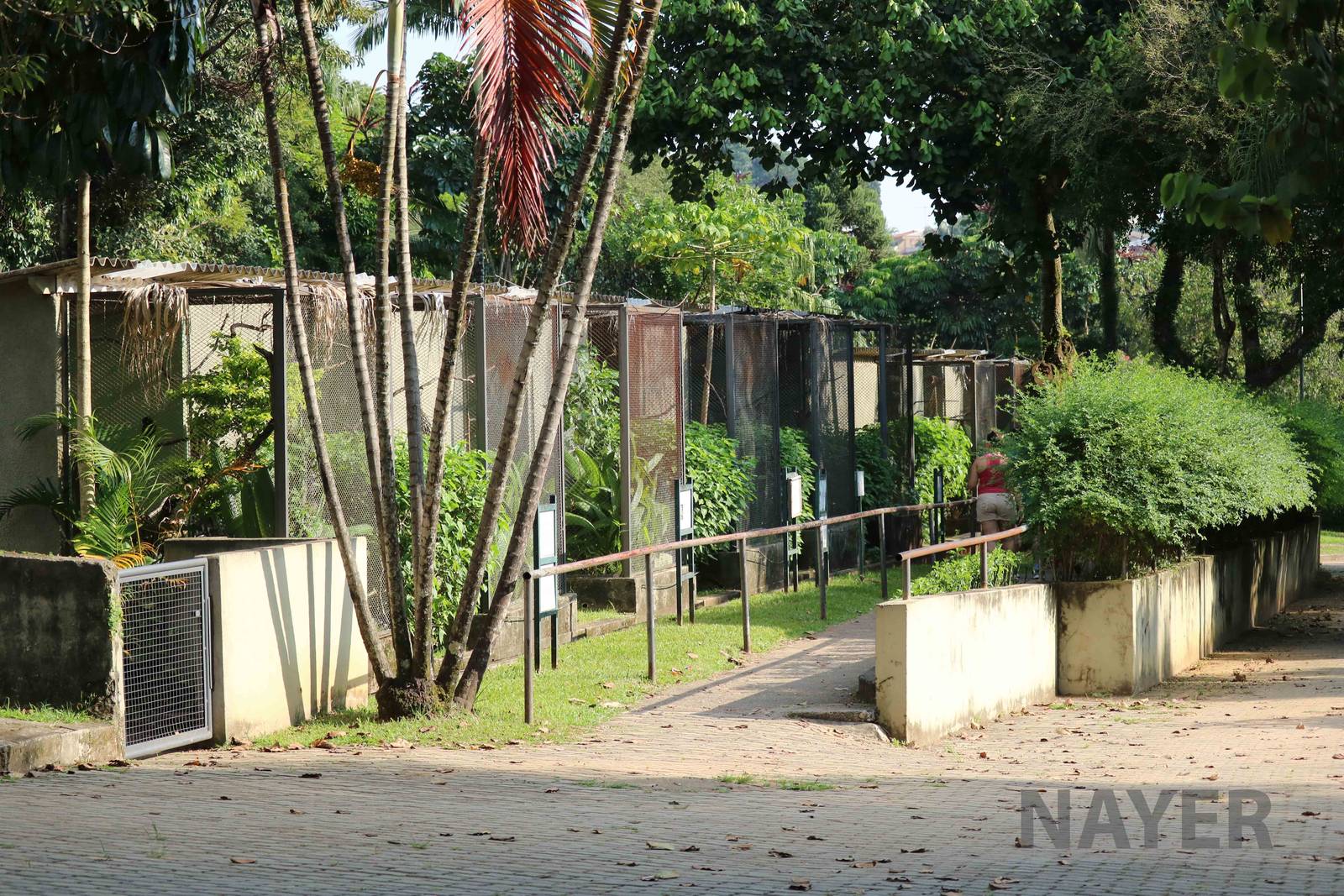 Small aviaries, April 2016