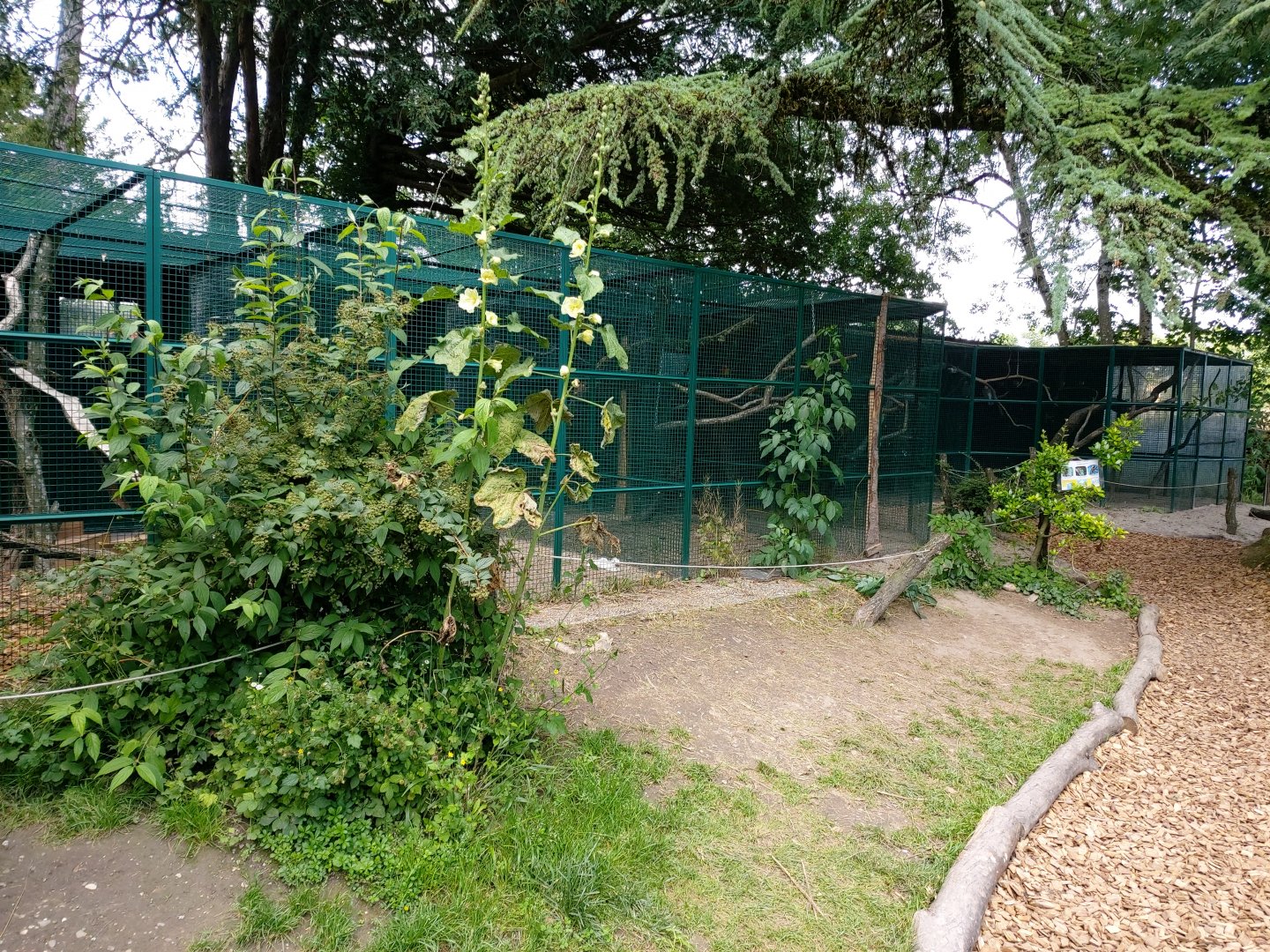 Small aviaries for different species of birds - Bioparc Genève