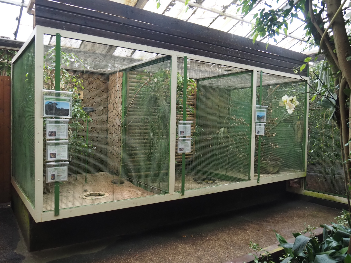 Small aviaries in the Paradies-Halle, 2024-05-22