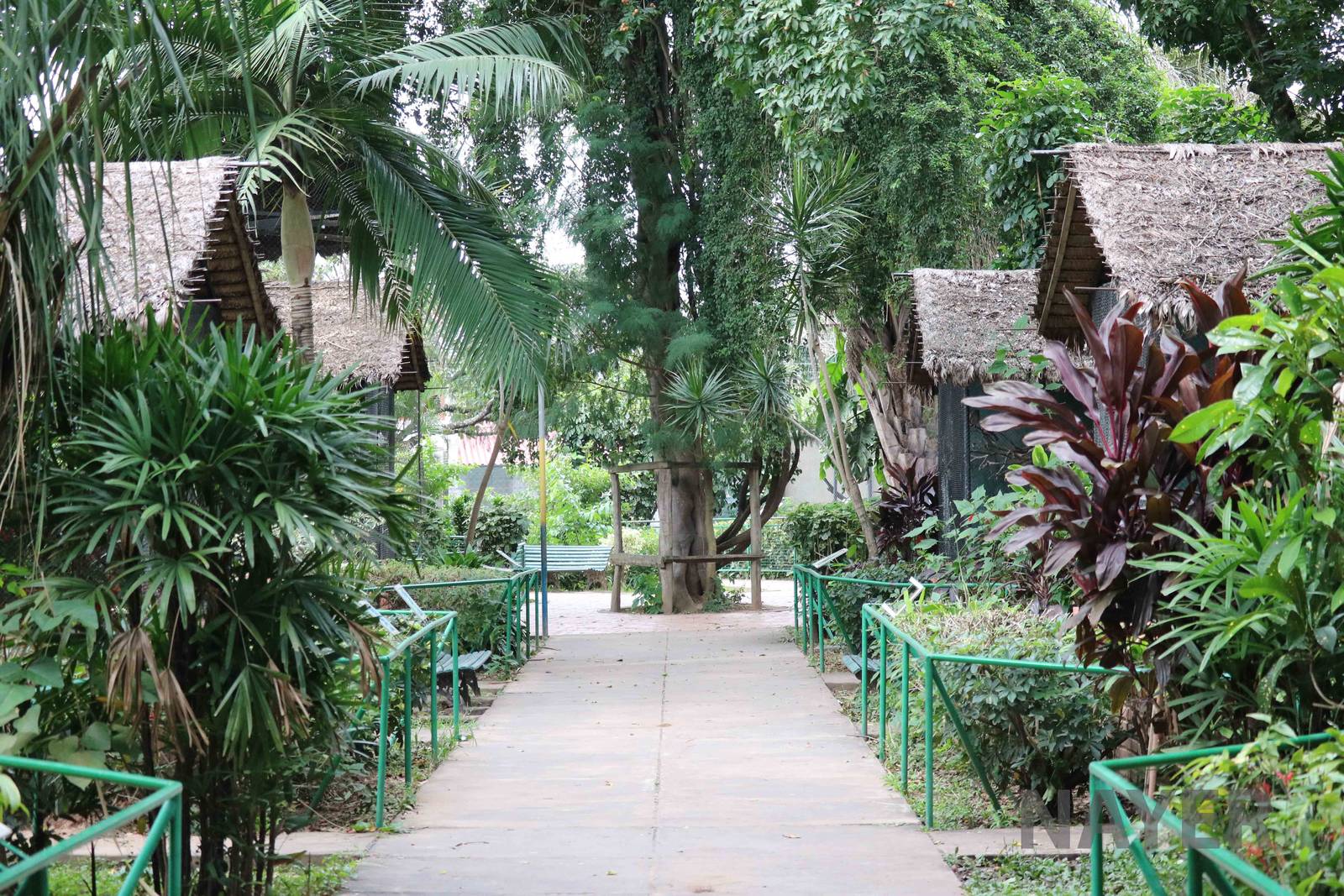 Small aviaries, March 2016