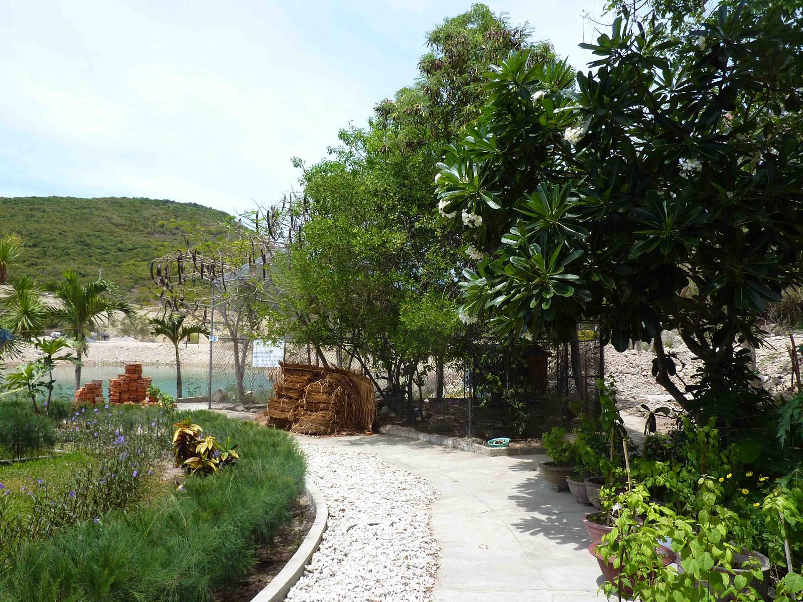 Small aviary, May 2013.