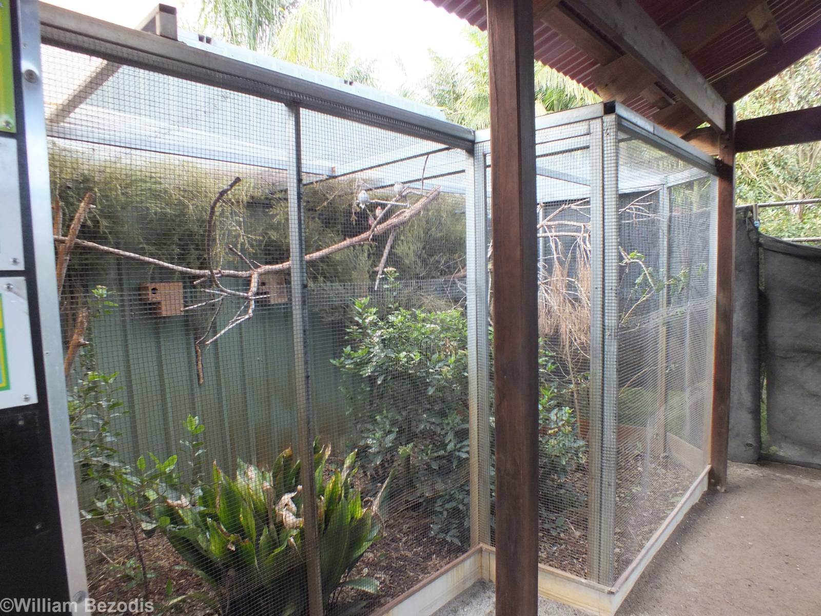 Small Bird Aviaries - Caversham Wildlife Park