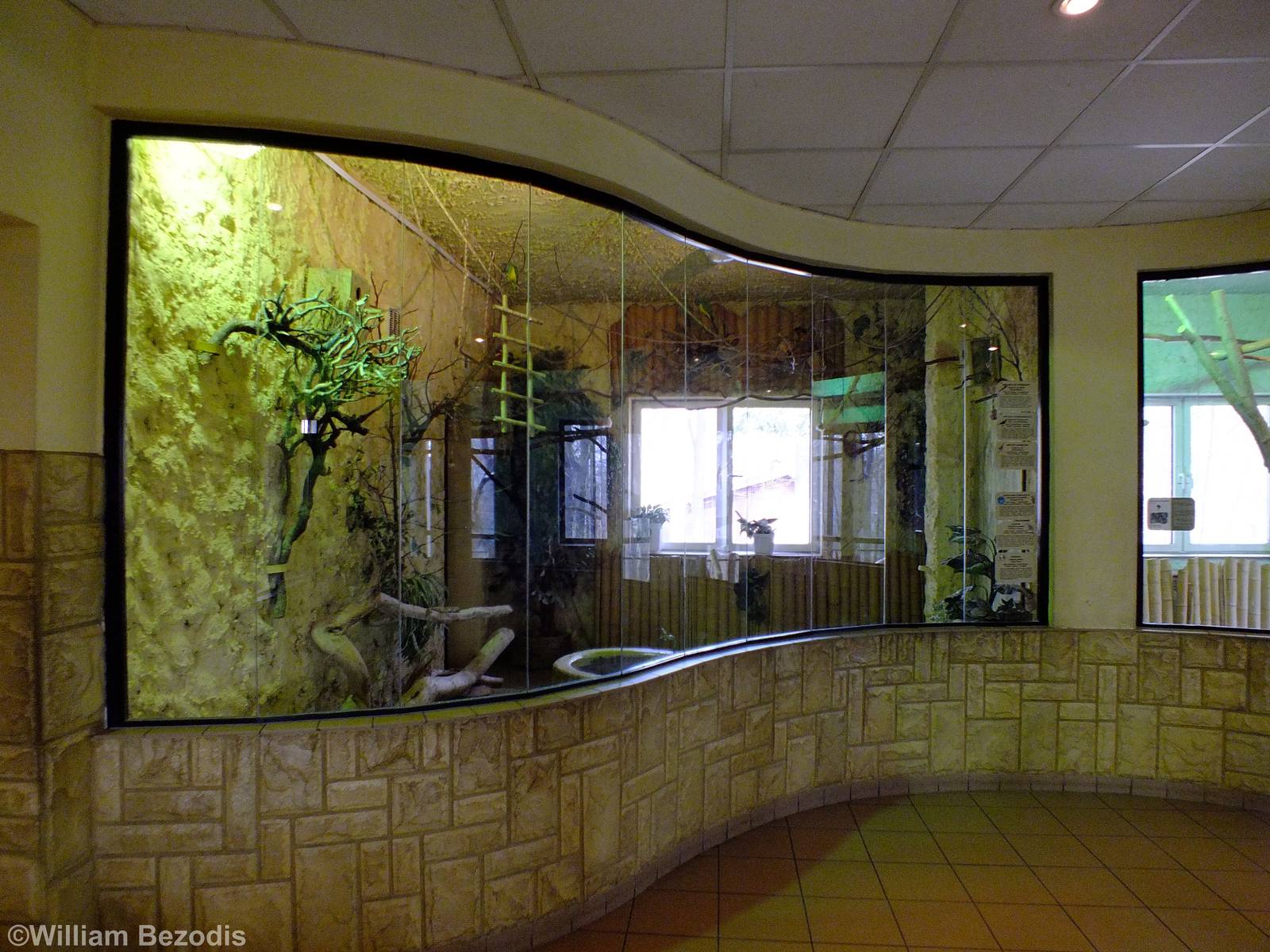 Small Bird Enclosure