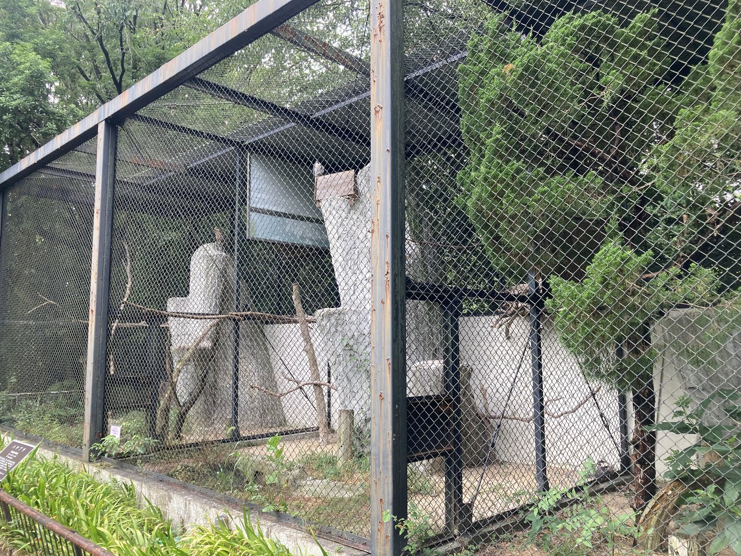 Small bird of prey aviary