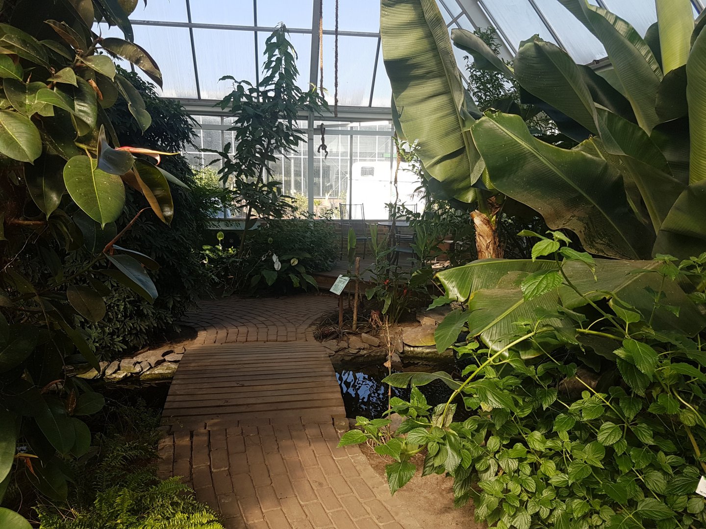 Small bridge in Butterfly-walk-through