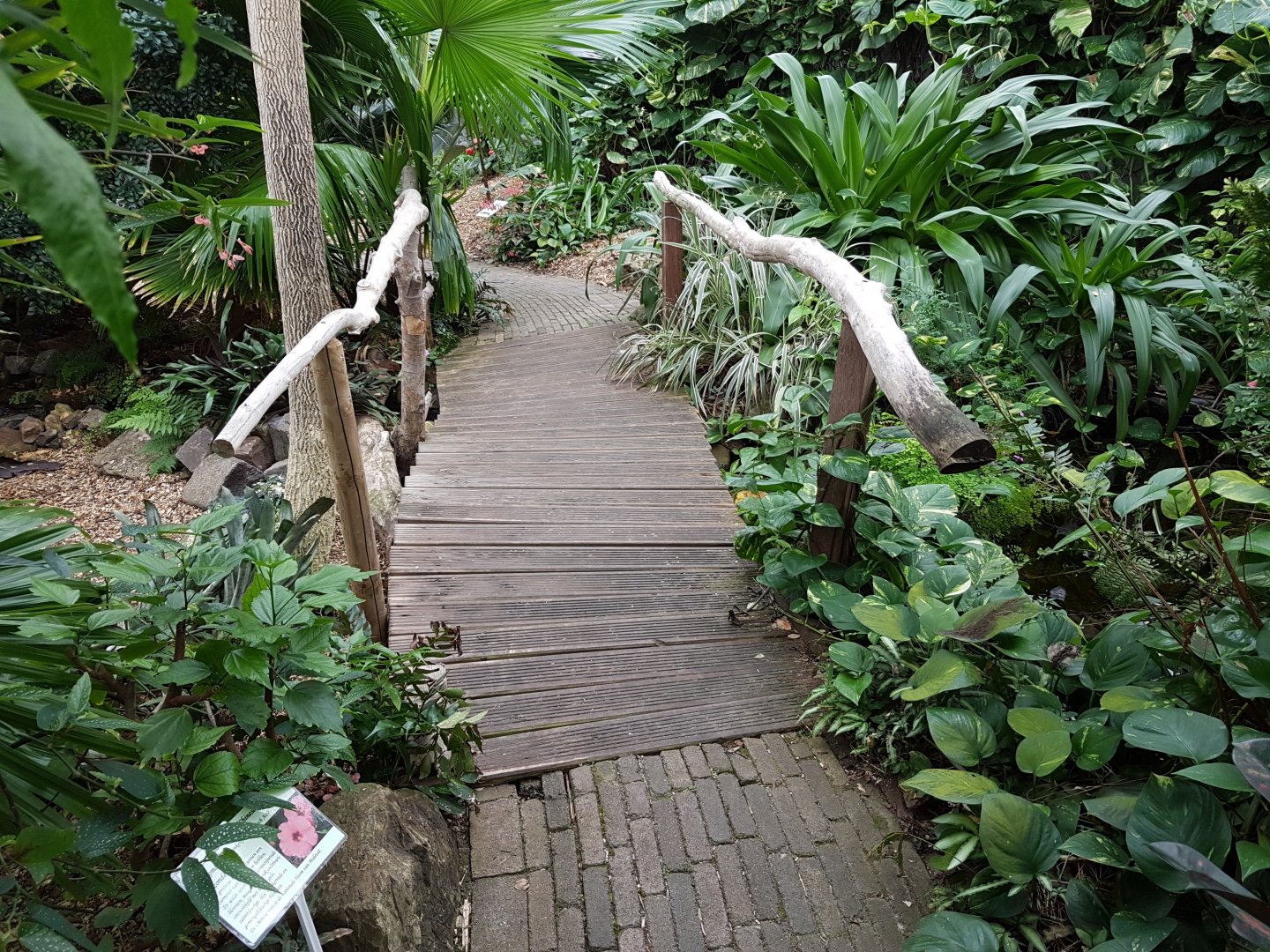 Small bridge