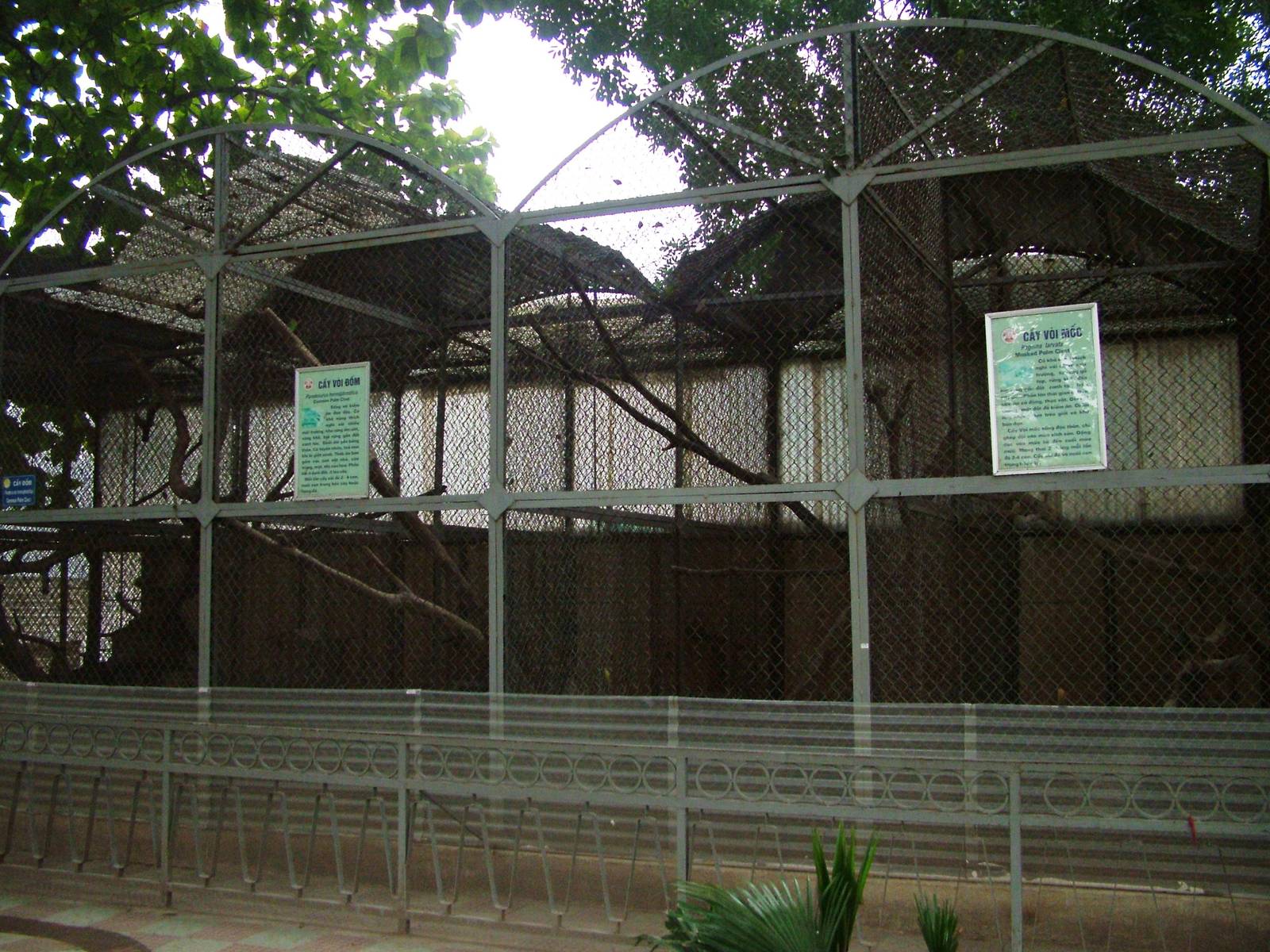 Small Carnivore Cages at Hanoi Zoo, 15/03/12
