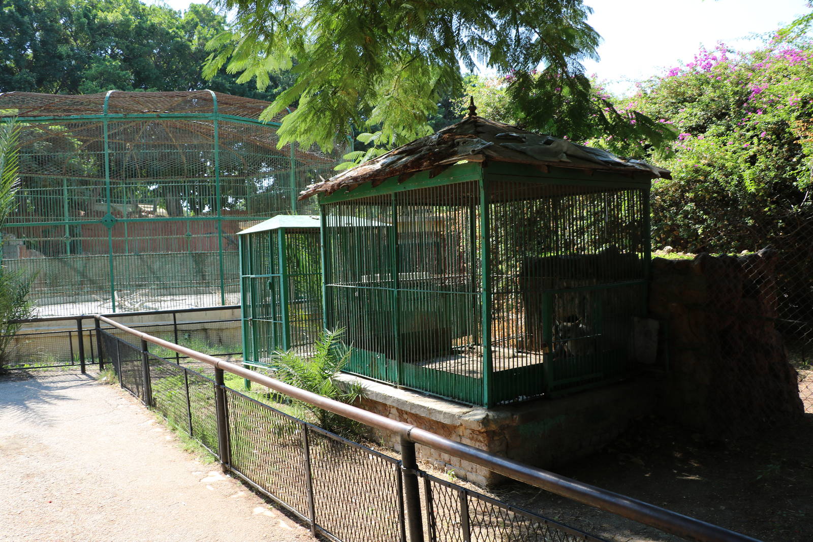 Small carnivore cages, October 2015