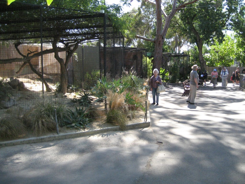 Small Carnivore cages