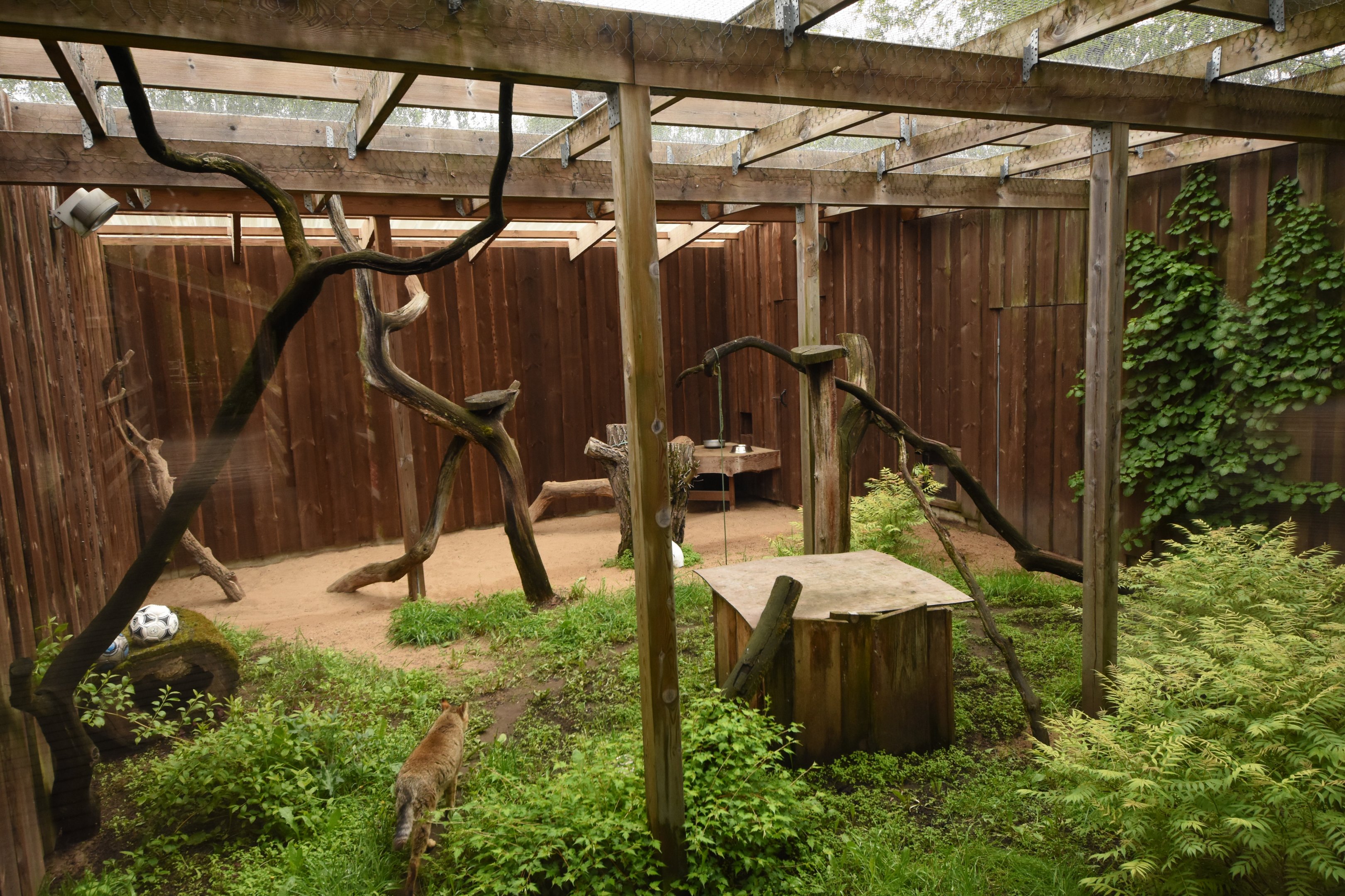 Small carnivore enclosure