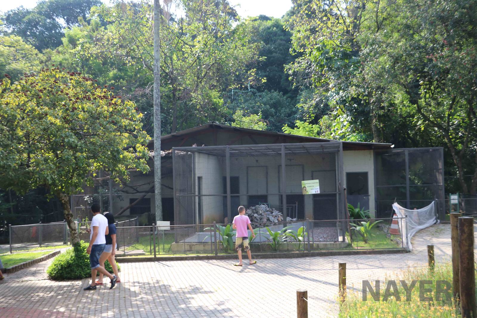 Small carnivore enclosures, April 2016