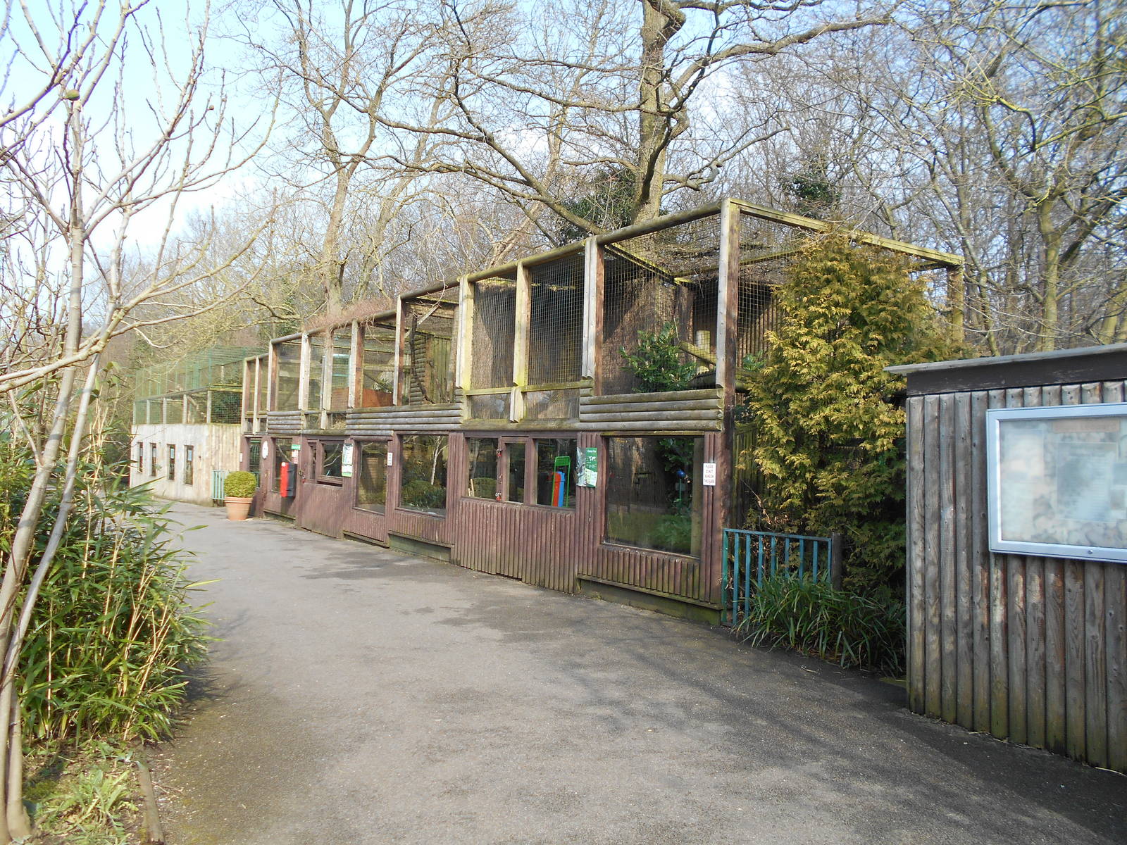 Small Carnivore Enclosures - March 11th 2016